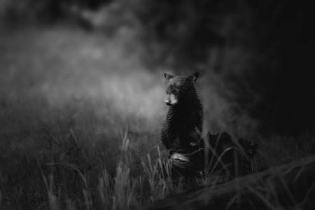 Victoria Harris is our Black and White theme micro-grant winner.