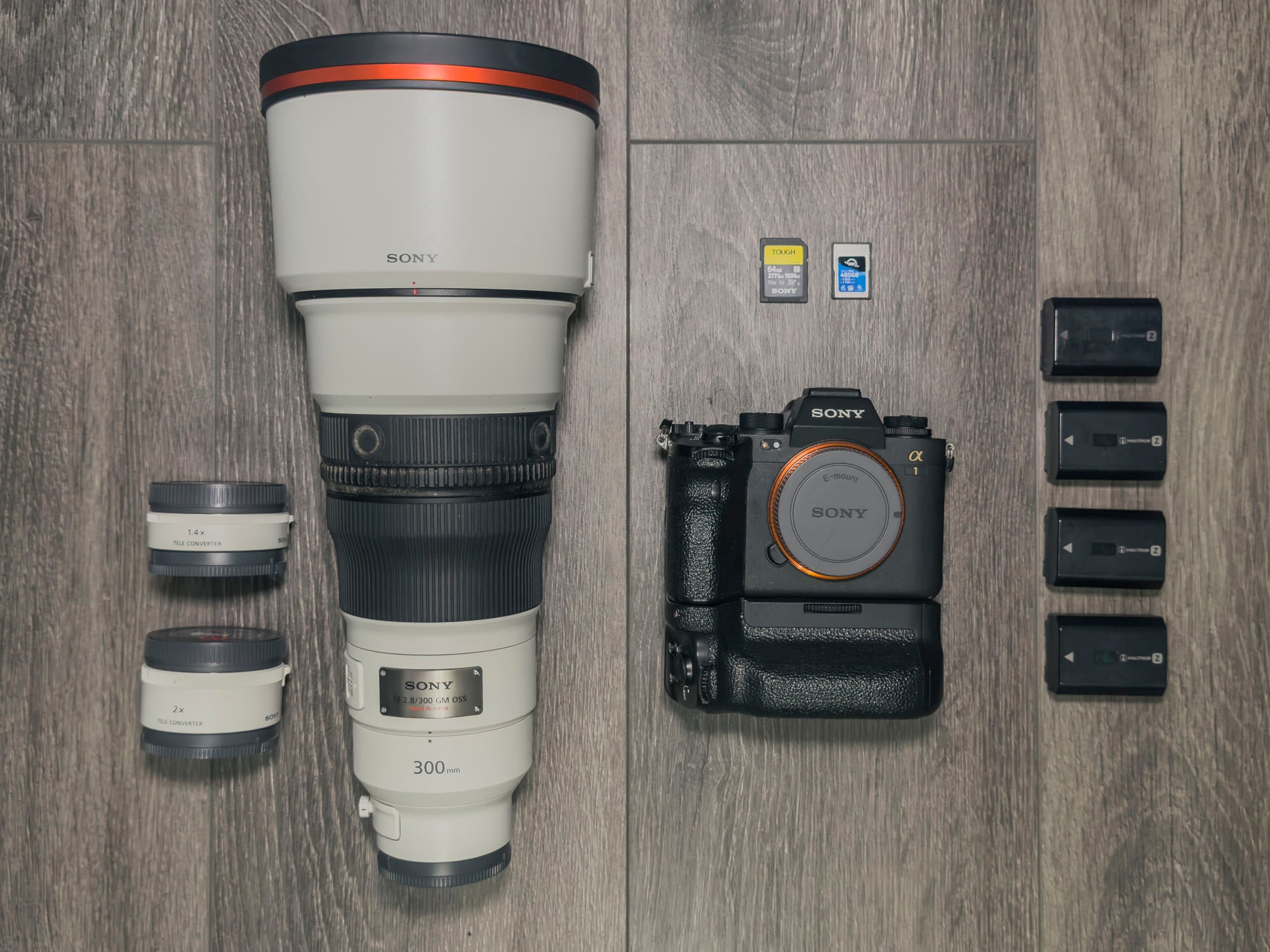 Chad Sawyer's favorite Sony setup for bird photography