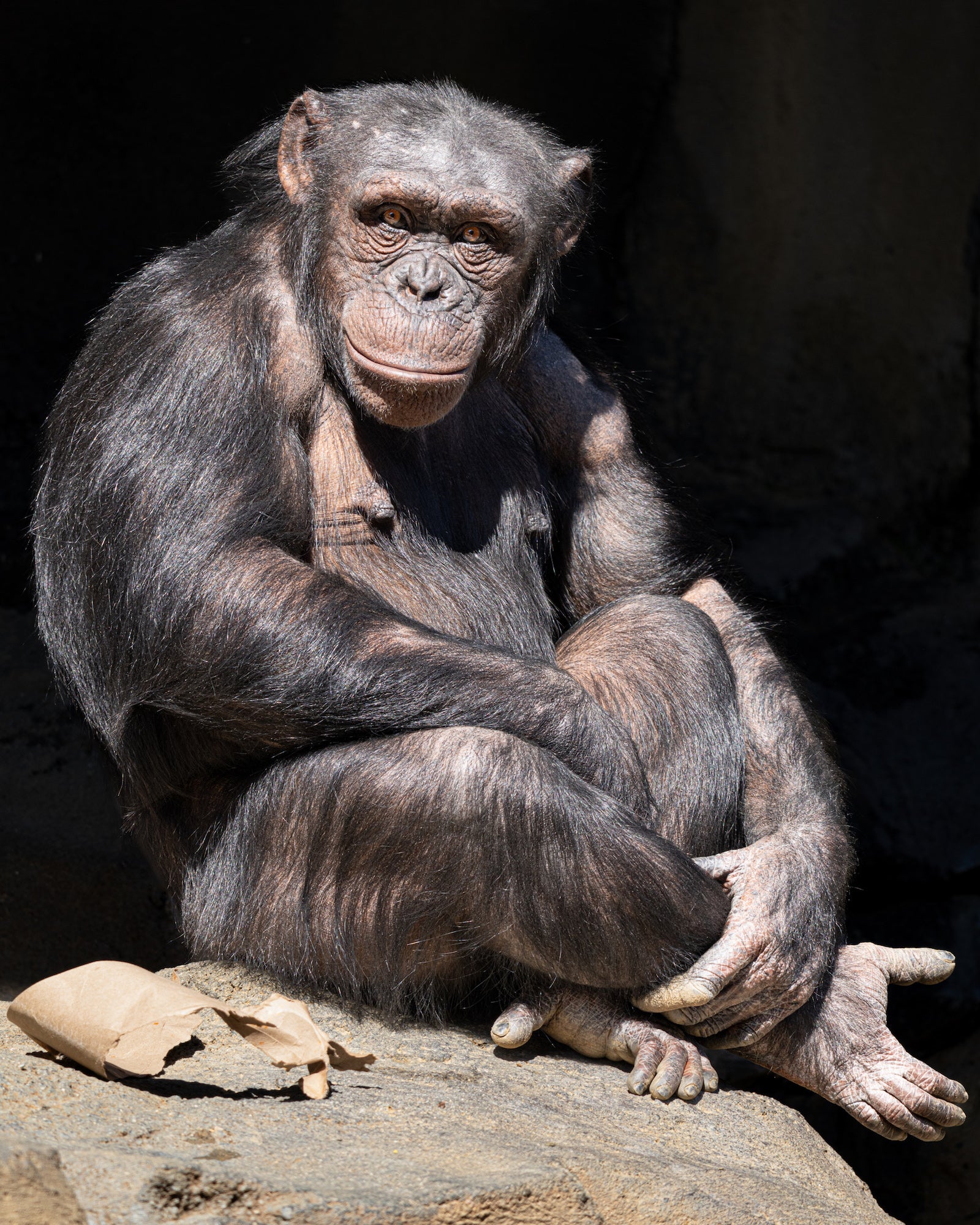 Alpha-Universe-400800G-Brian-Smith-3.jpg