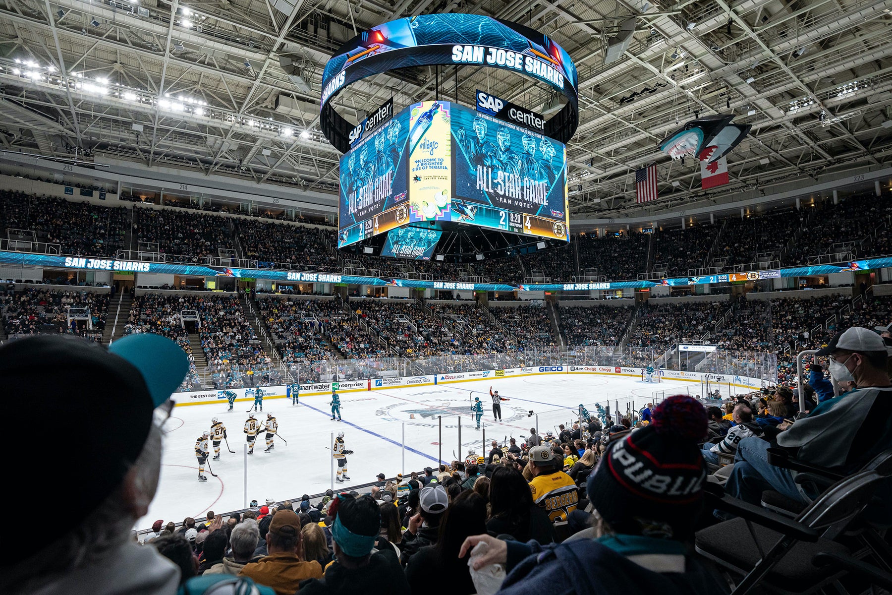 jpg/Alpha-Universe-Amanda-Cain-bruins_vs._sharks75-1200_boundsujnrn4.jpg?height=1200&fit=bounds