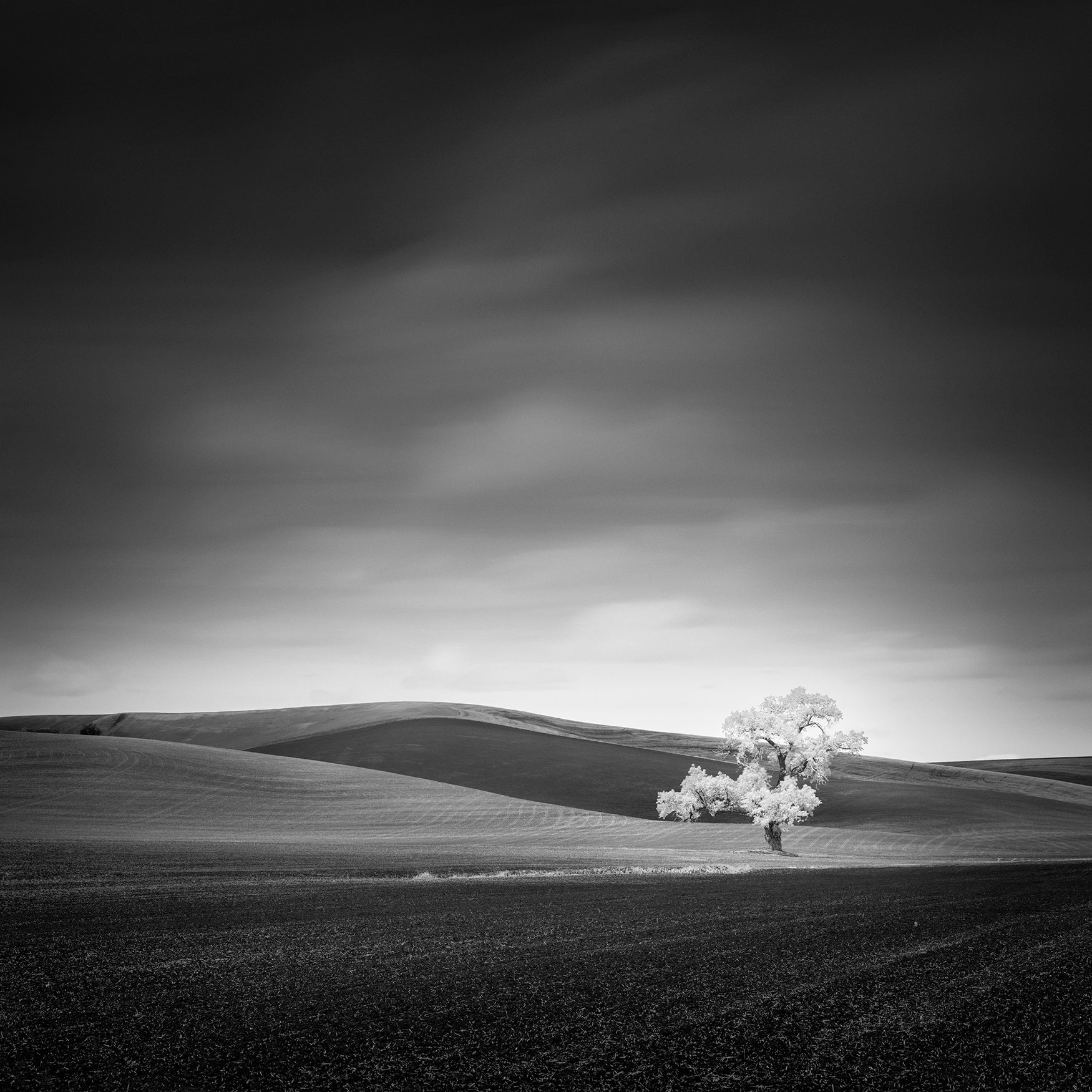 Alpha-Universe-Best-Of-2020-Thibault-Roland.jpg Alpha-Universe-Best-Of-2020-Thibault-Roland.jpg