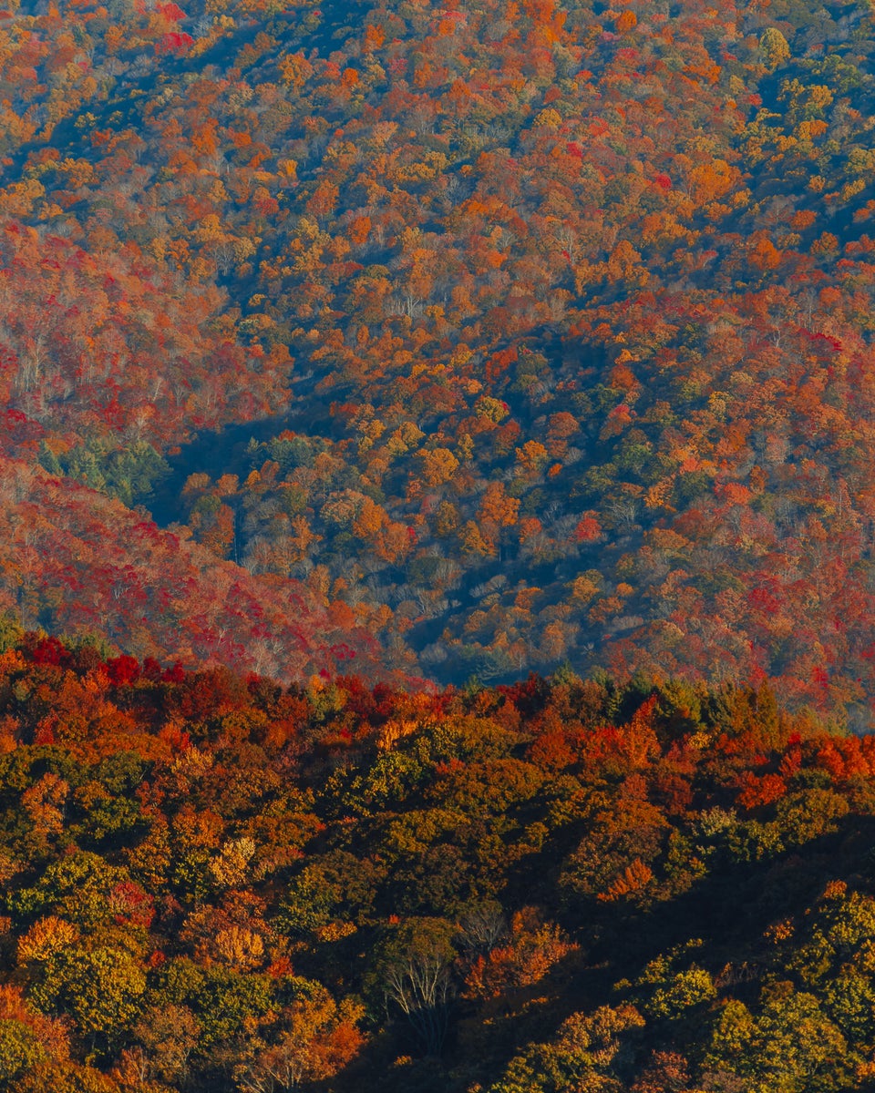 jpg/Alpha-Universe-Fall-Color-Cate-Schweitzer-5-1200_bounds2f2we8.jpg?height=1200&fit=bounds