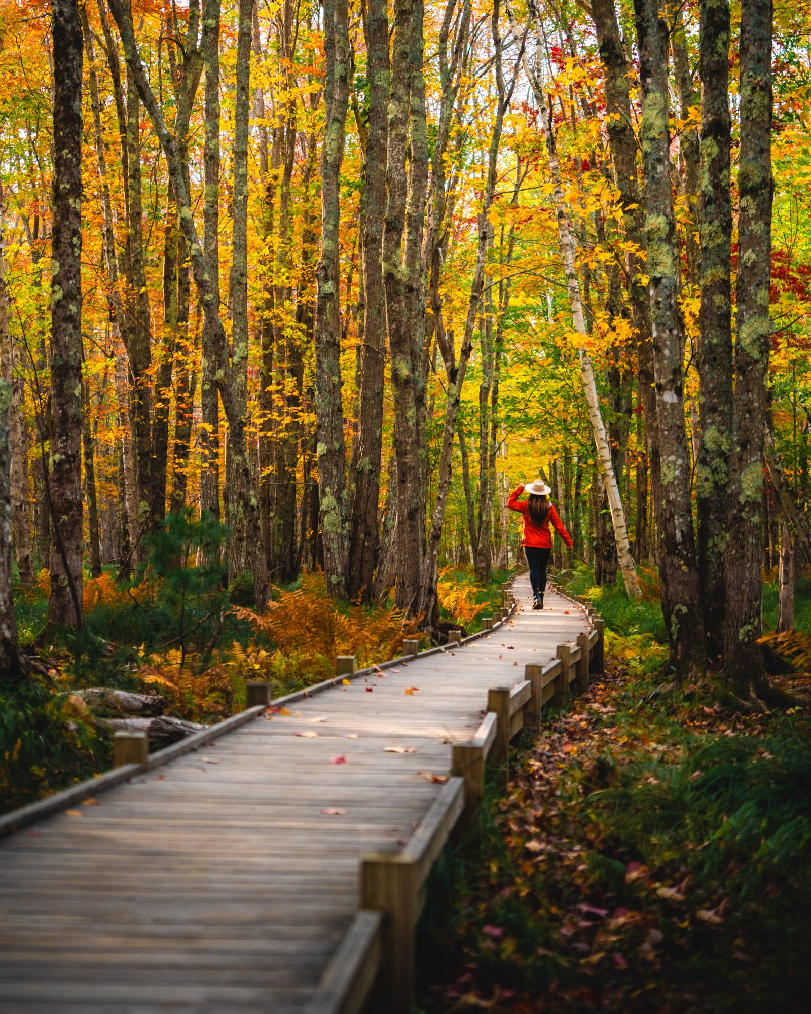 Photo by Jesse Roos. Sony Alpha 7R II. Sony 70-200mm f/4 G. 1/800-sec., f/4, ISO 500 Photo by Jesse Roos. Sony Alpha 7R II. Sony 70-200mm f/4 G. 1/800-sec., f/4, ISO 500
