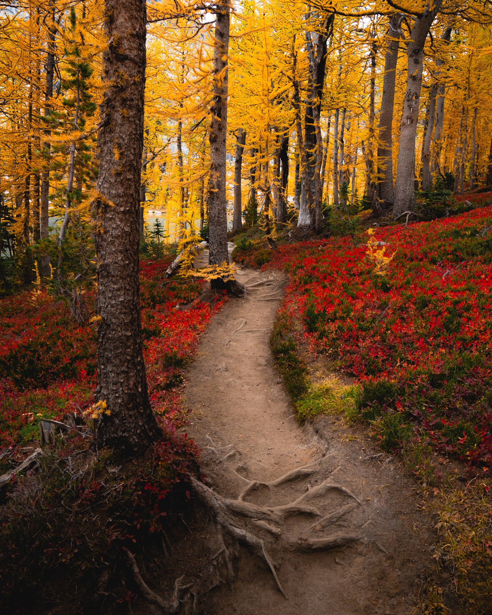 Photo by Jesse Roos. Sony Alpha 7R II. Sony 16-35mm f/4. 1/200-sec., f/6.3, ISO 500 Photo by Jesse Roos. Sony Alpha 7R II. Sony 16-35mm f/4. 1/200-sec., f/6.3, ISO 500