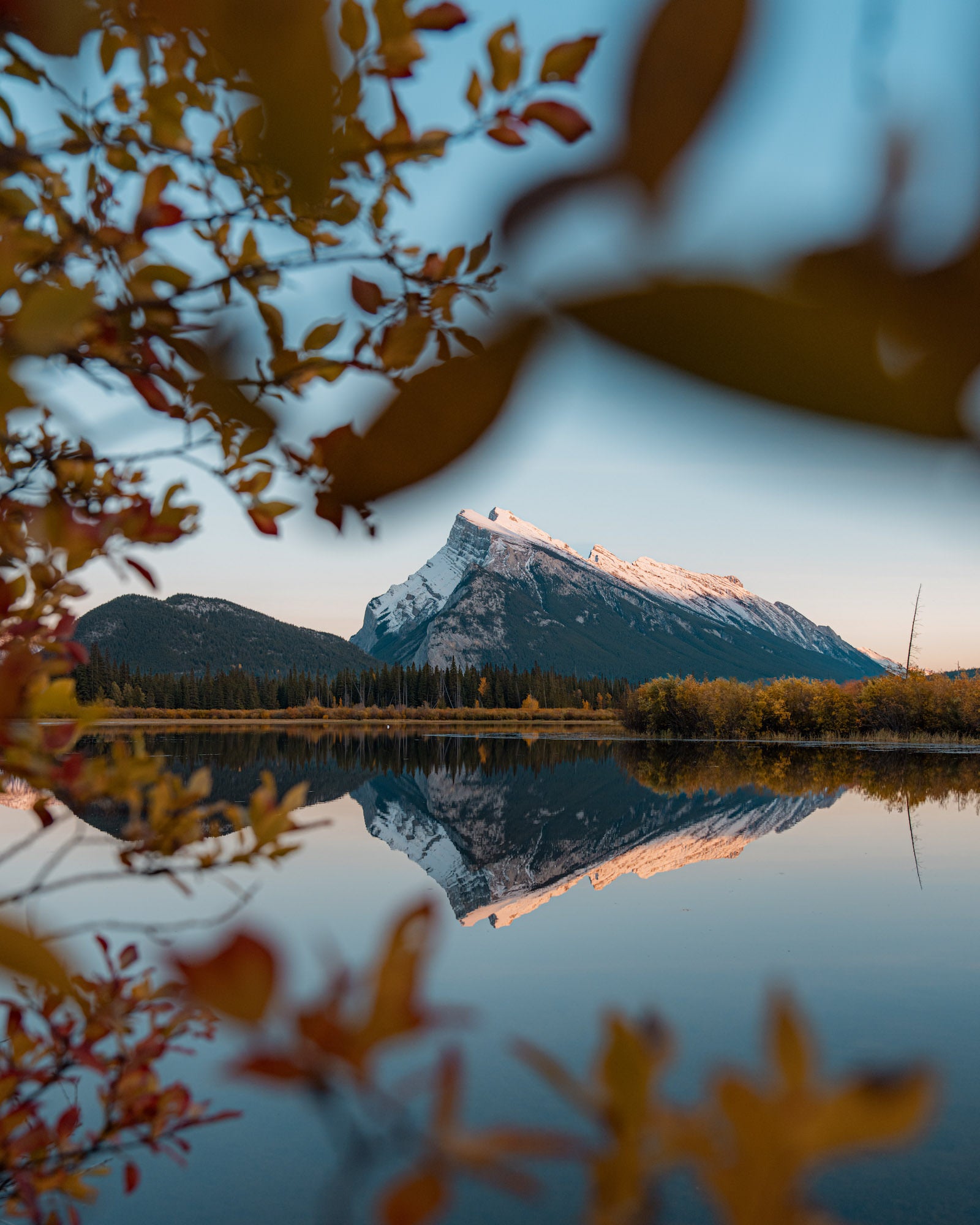 Photo by Jude Allen. Sony Alpha 1. Sony 24-70mm f/2.8 G Master II. 1/160-sec., f/3.5, ISO 125