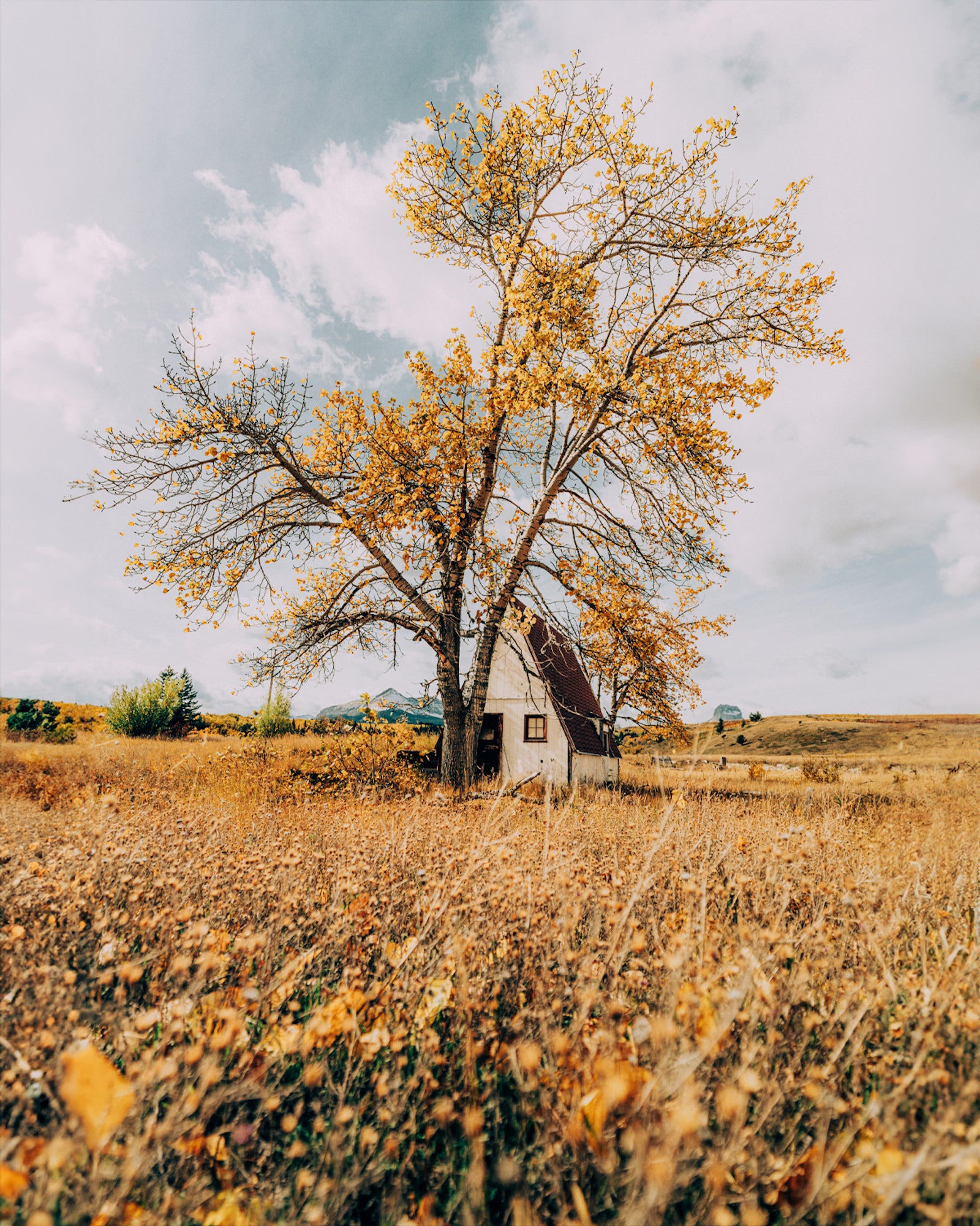 Photo by Jude Allen. Sony Alpha 7R V. Sony 16-35mm f/2.8 G Master II. 1/4000-sec., f/2.8, ISO 100