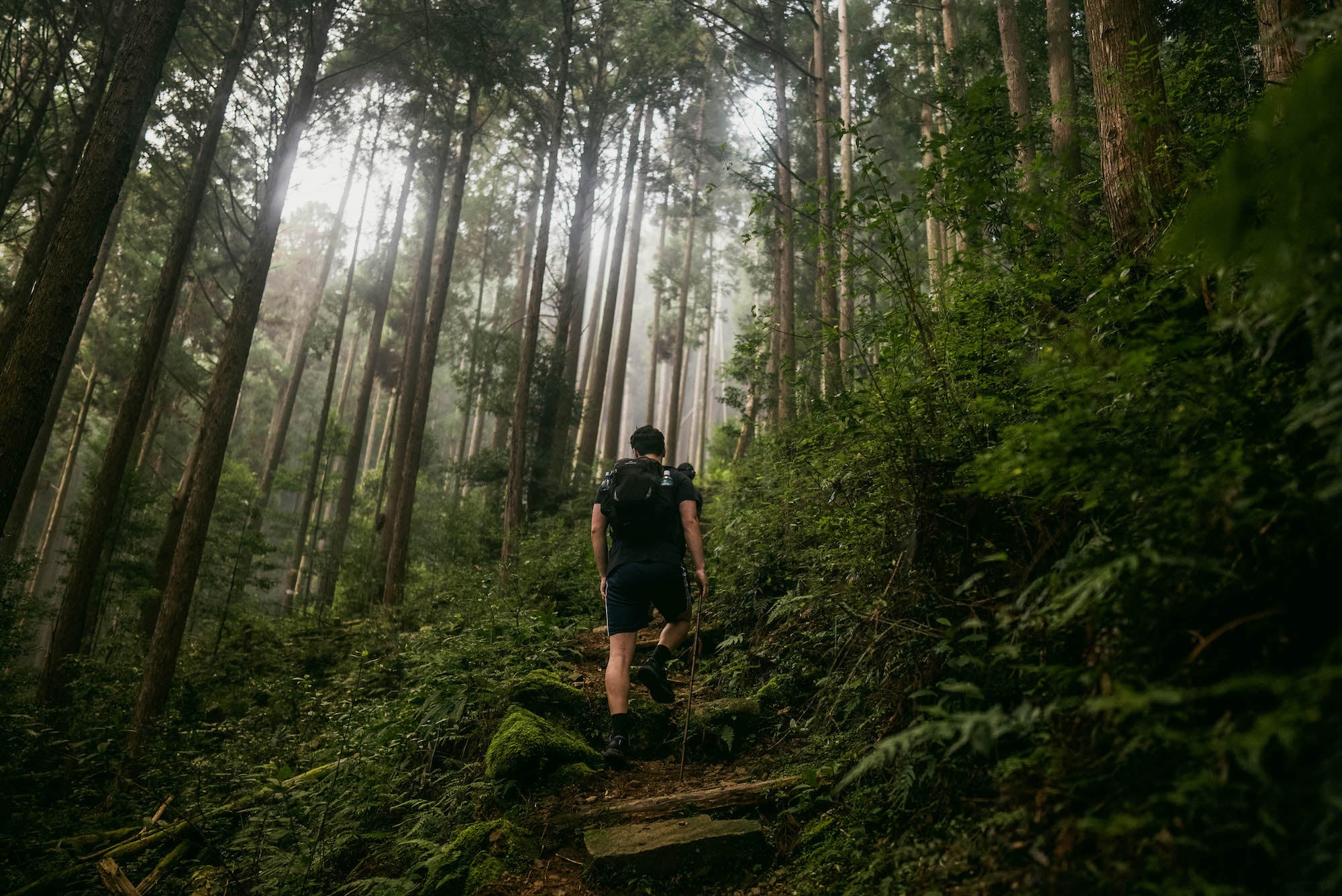 Photo by Elina Osborne. Sony Alpha 7S III. Sony 24mm f/1.4 G Master. 1/125-sec., f/1.4, ISO 1000
Photo by Elina Osborne. Sony Alpha 7S III. Sony 24mm f/1.4 G Master. 1/125-sec., f/1.4, ISO 1000