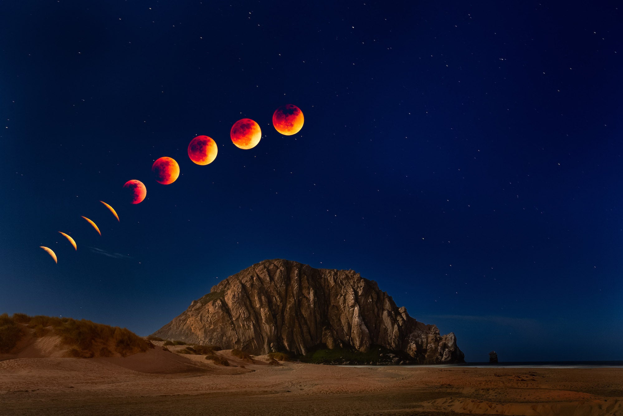 Photo by Don Smith.