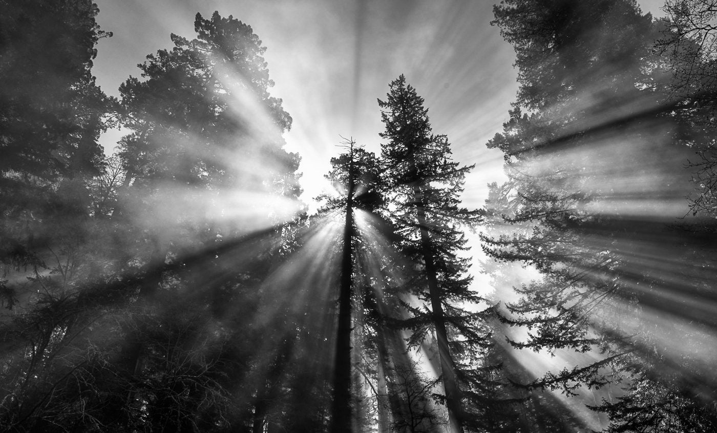 Photo by Andy Katz. Sony Alpha 1. Sony 24-105mm f/4 G. 1/160-sec., f/13, ISO 200