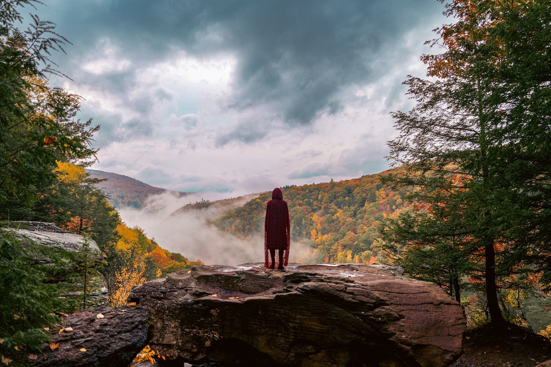 jpg/Alpha-Universe-Photo-By-Sal-D-Alia-A7R-V-2-1200_bounds5yy2c7.jpg?height=1200&fit=bounds