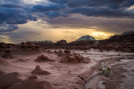 Photo by Nate Luebbe