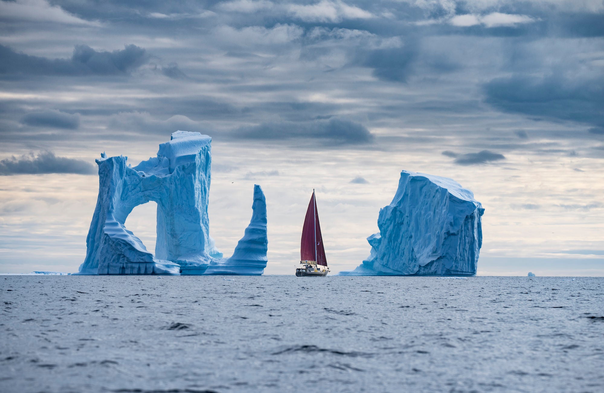 Photo by Renan Ozturk. Sony Alpha 1. Sony 100-400mm f/4.5-5.6 G Master. 1/500-sec., f/8, ISO 125 Photo by Renan Ozturk. Sony Alpha 1. Sony 100-400mm f/4.5-5.6 G Master. 1/500-sec., f/8, ISO 125