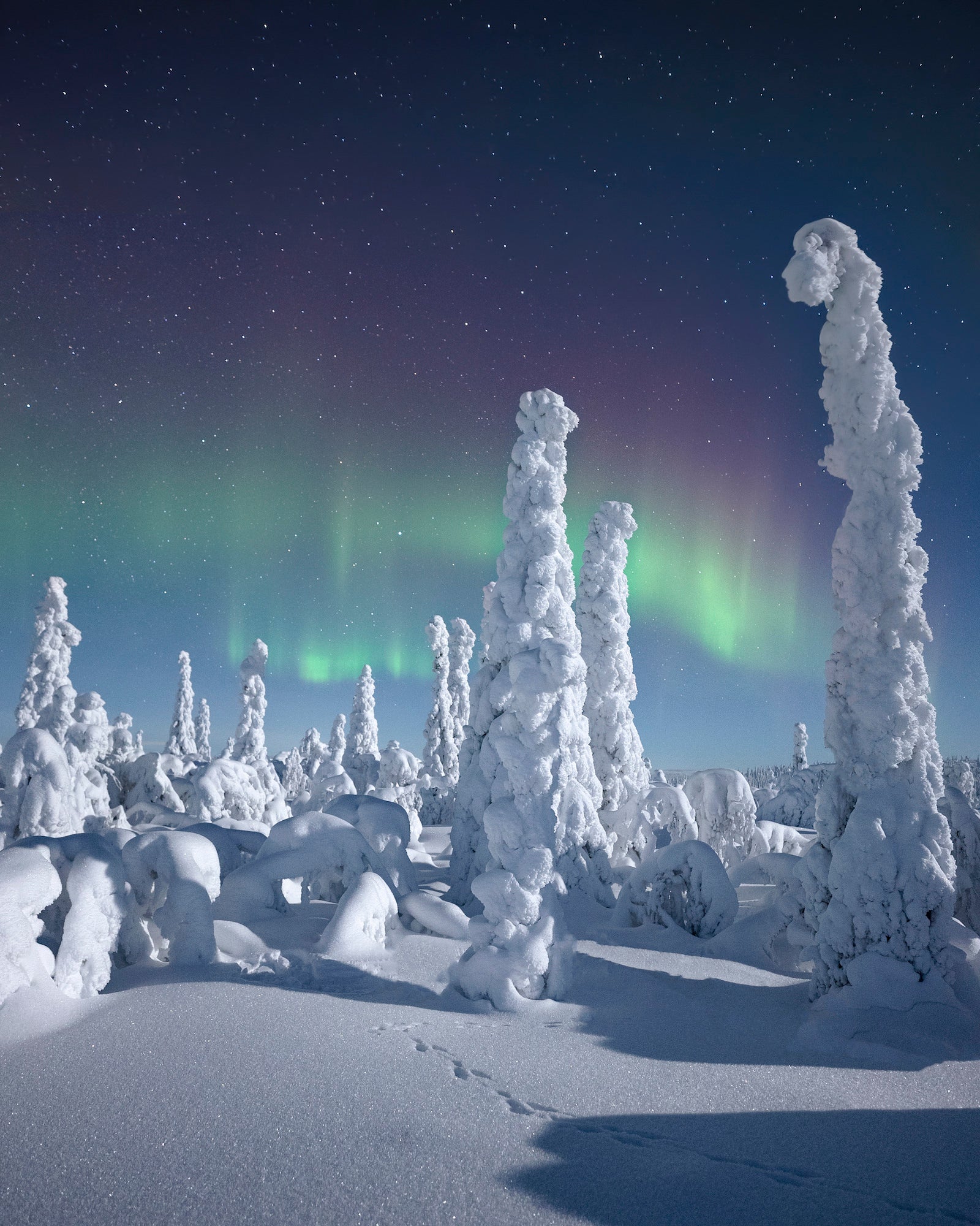 Photo by Magnus Winbj&ouml;rk. Sony Alpha 7S III. Sony 20mm f/1.8 G. 3.2-sec., f/1.8, ISO 1600