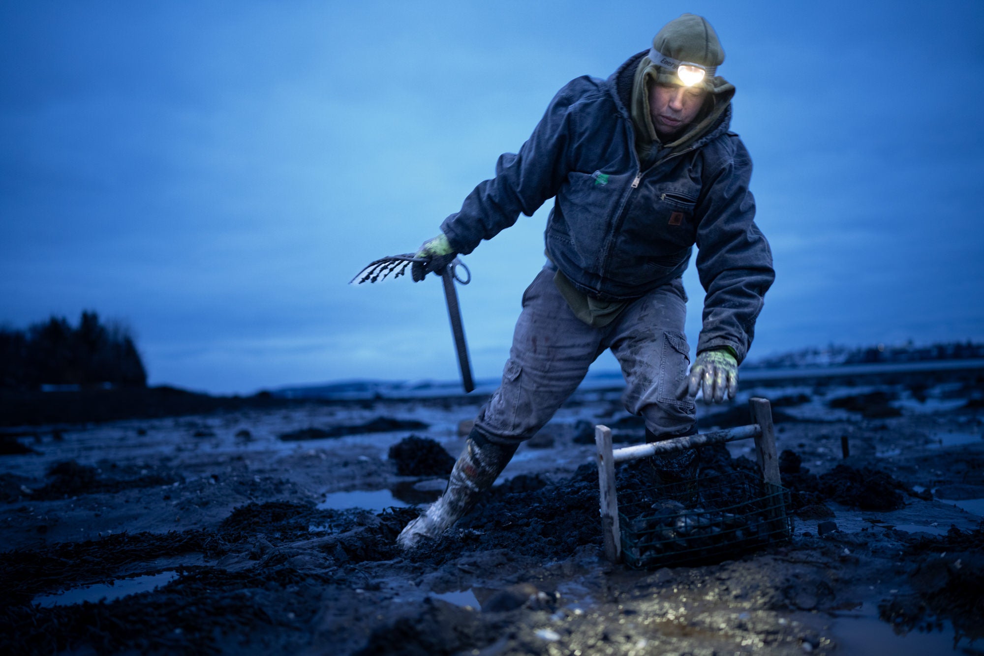 Photo by David McLain. Sony Alpha 7R V. Sony 35mm f/1.4 G Master. 1/80-sec., f/1.4, ISO 3200 Photo by David McLain. Sony Alpha 7R V. Sony 35mm f/1.4 G Master. 1/80-sec., f/1.4, ISO 3200