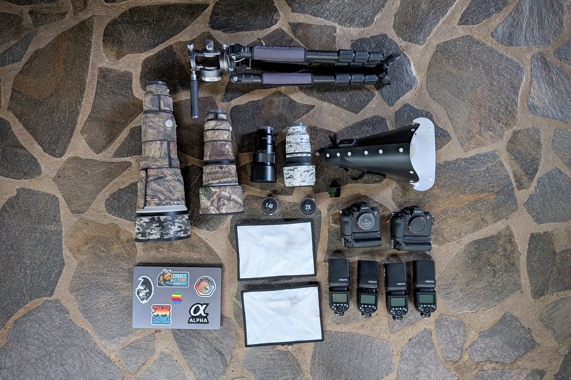 Colby Brown's Sony Alpha 9 III and Sony Alpha 1 II kit for wildlife photography in Costa Rica