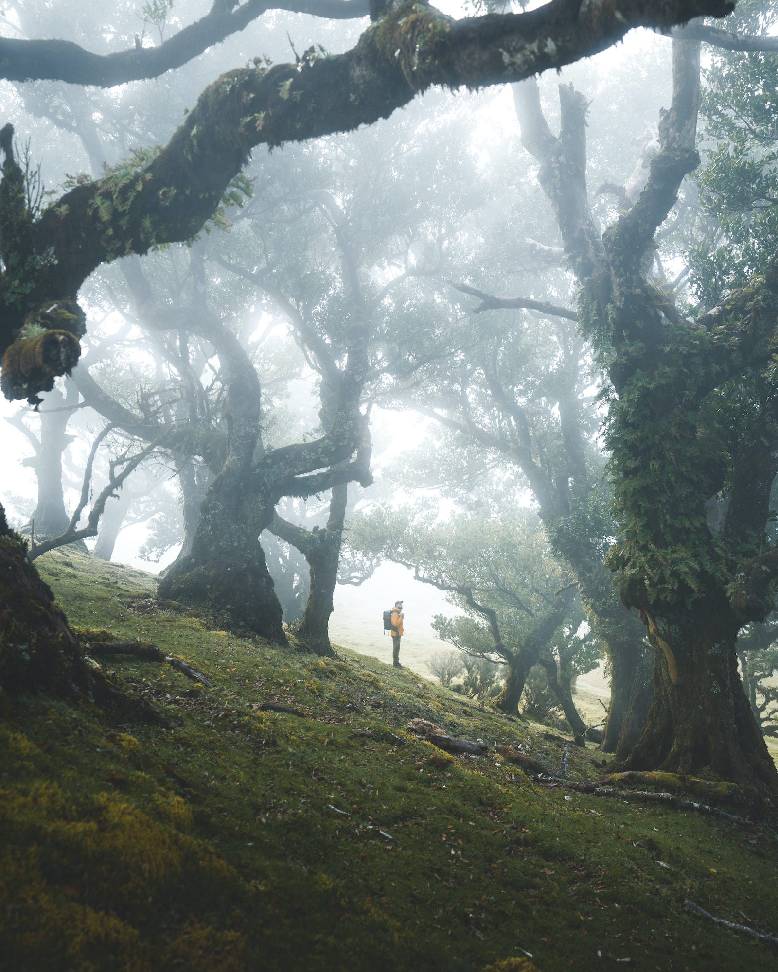 Photo by Alvaro Valiente. Sony Alpha 7 IV. Sony 16-35mm f/2.8 G Master. 1/125-sec., f/2.8, ISO 160