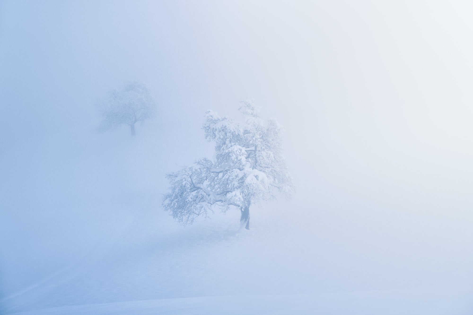 Photo by Antonio Valente. Sony Alpha 7R V. Sony 100-400mm f/4.5-5.6 G Master. 1/200 sec., f/13, ISO 100