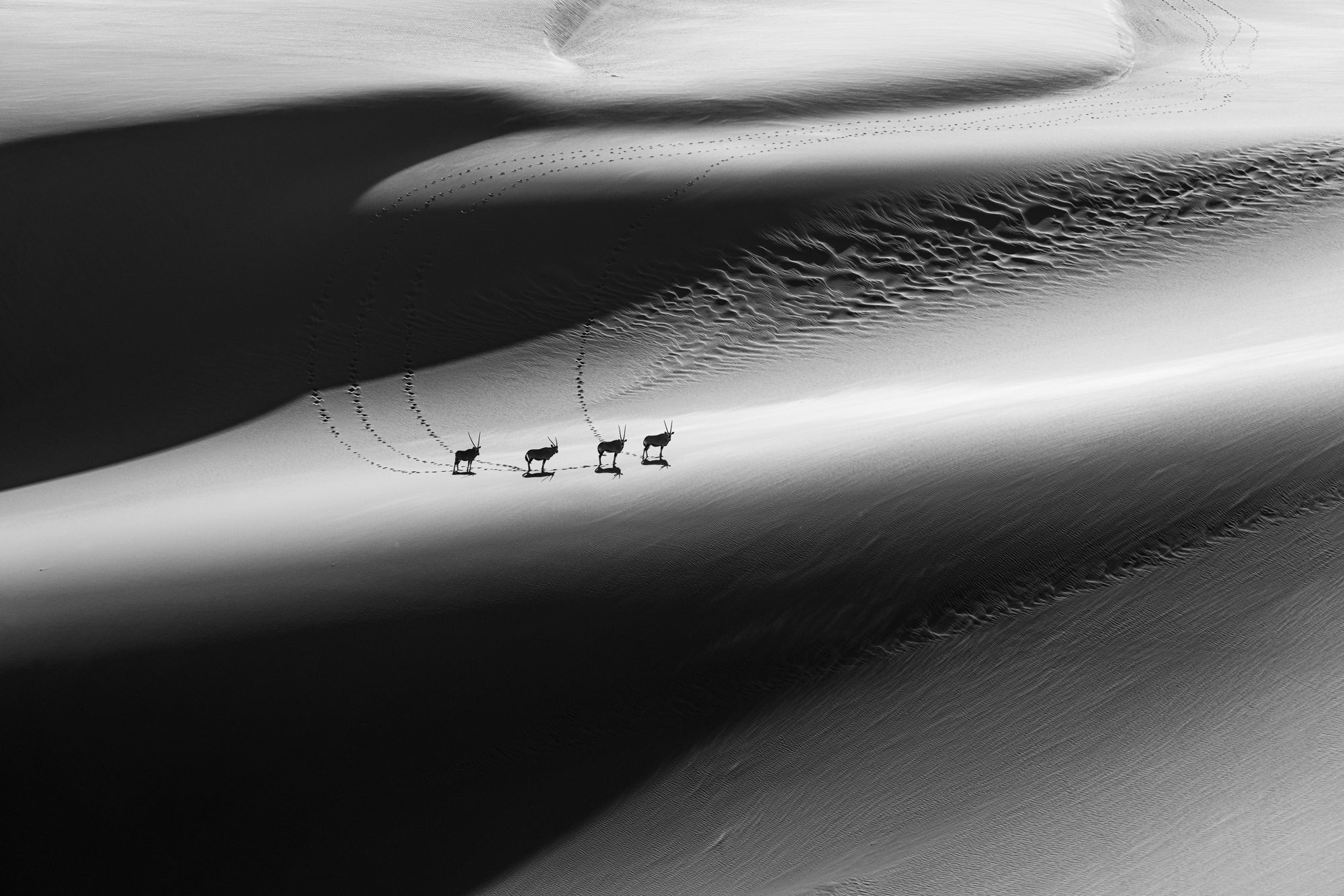 Photo by Craig Elson. Sony Alpha 1. Sony 70-200mm f/2.8 G Master + 1.4x TC. 1/3200-sec., f/4, ISO 250. Photo by Craig Elson. Sony Alpha 1. Sony 70-200mm f/2.8 G Master + 1.4x TC. 1/3200-sec., f/4, ISO 250.
