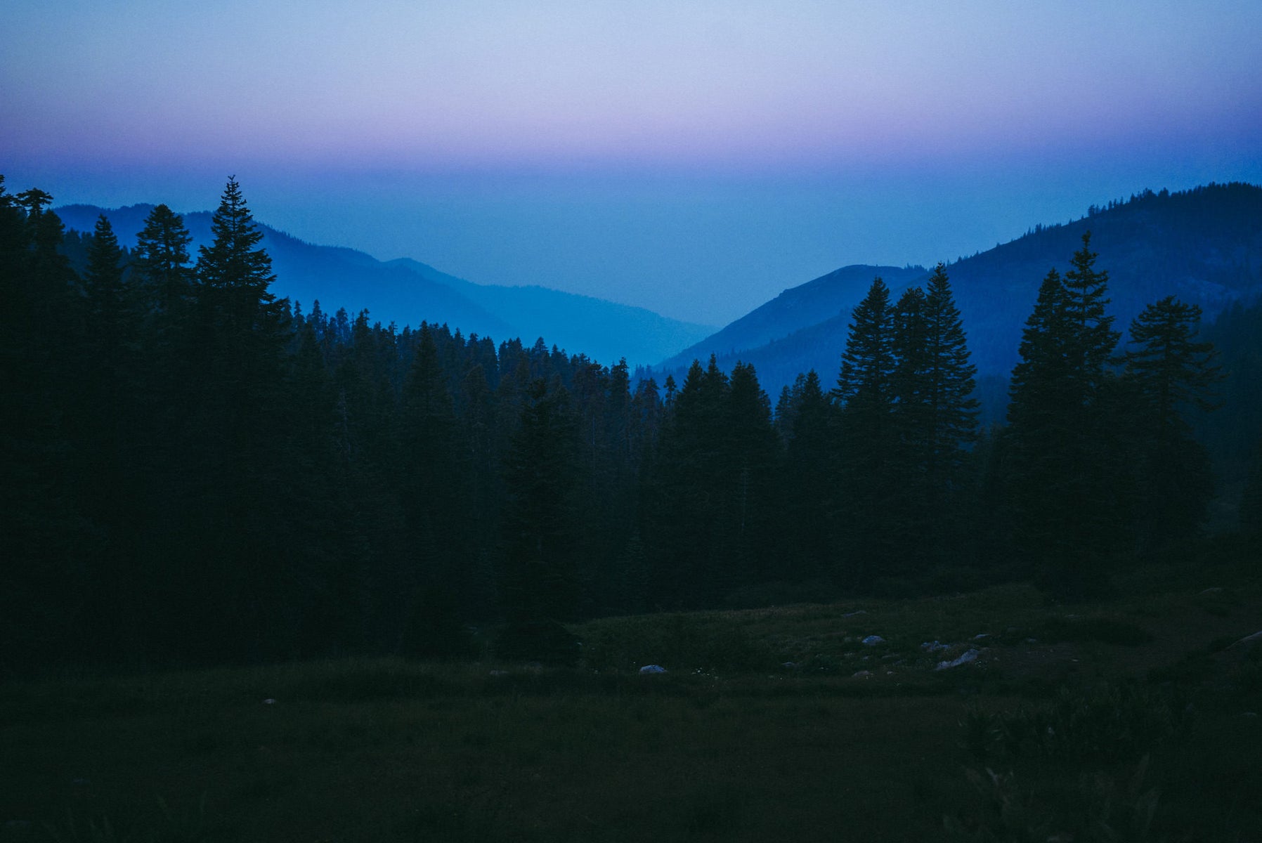 jpg/Alpha-Universe-WIMB-Elina-Osborne-PCT_Oregon3-1200_boundsw1rtwt.jpg?height=1200&fit=bounds