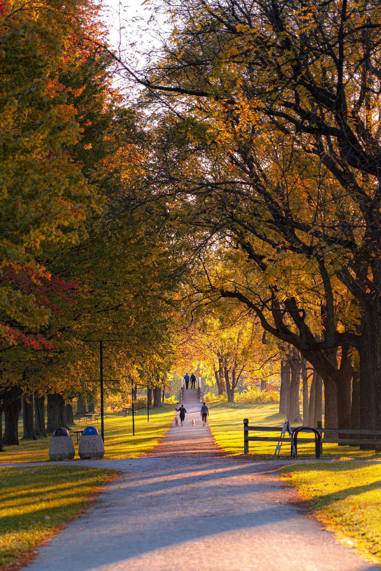 Alpha-Universe-WIMB-Frank-Grubich-Fall-Colors-1.jpg Alpha-Universe-WIMB-Frank-Grubich-Fall-Colors-1.jpg