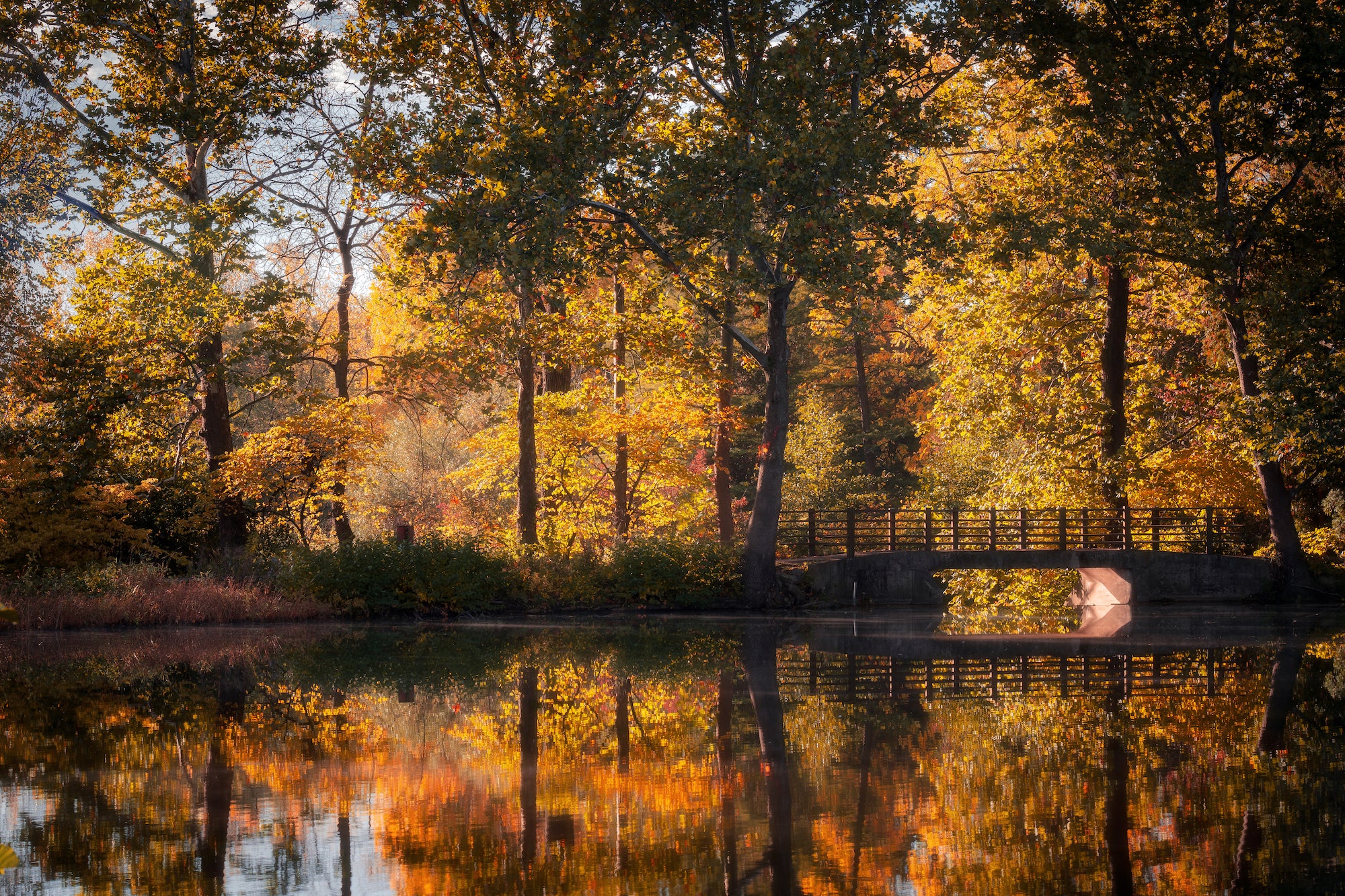 Alpha-Universe-WIMB-Frank-Grubich-Fall-Colors-2.jpg Alpha-Universe-WIMB-Frank-Grubich-Fall-Colors-2.jpg
