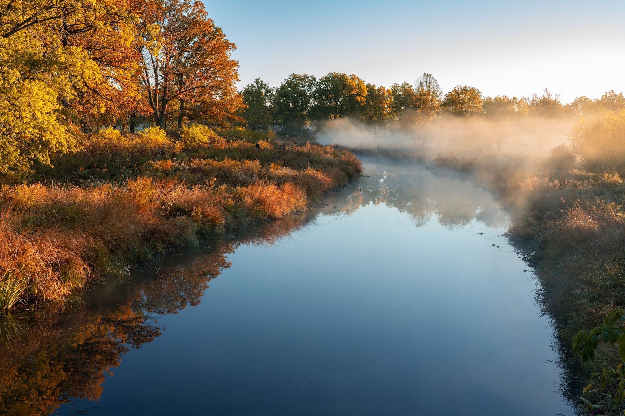Alpha-Universe-WIMB-Frank-Grubich-Fall-Colors-3.jpg Alpha-Universe-WIMB-Frank-Grubich-Fall-Colors-3.jpg