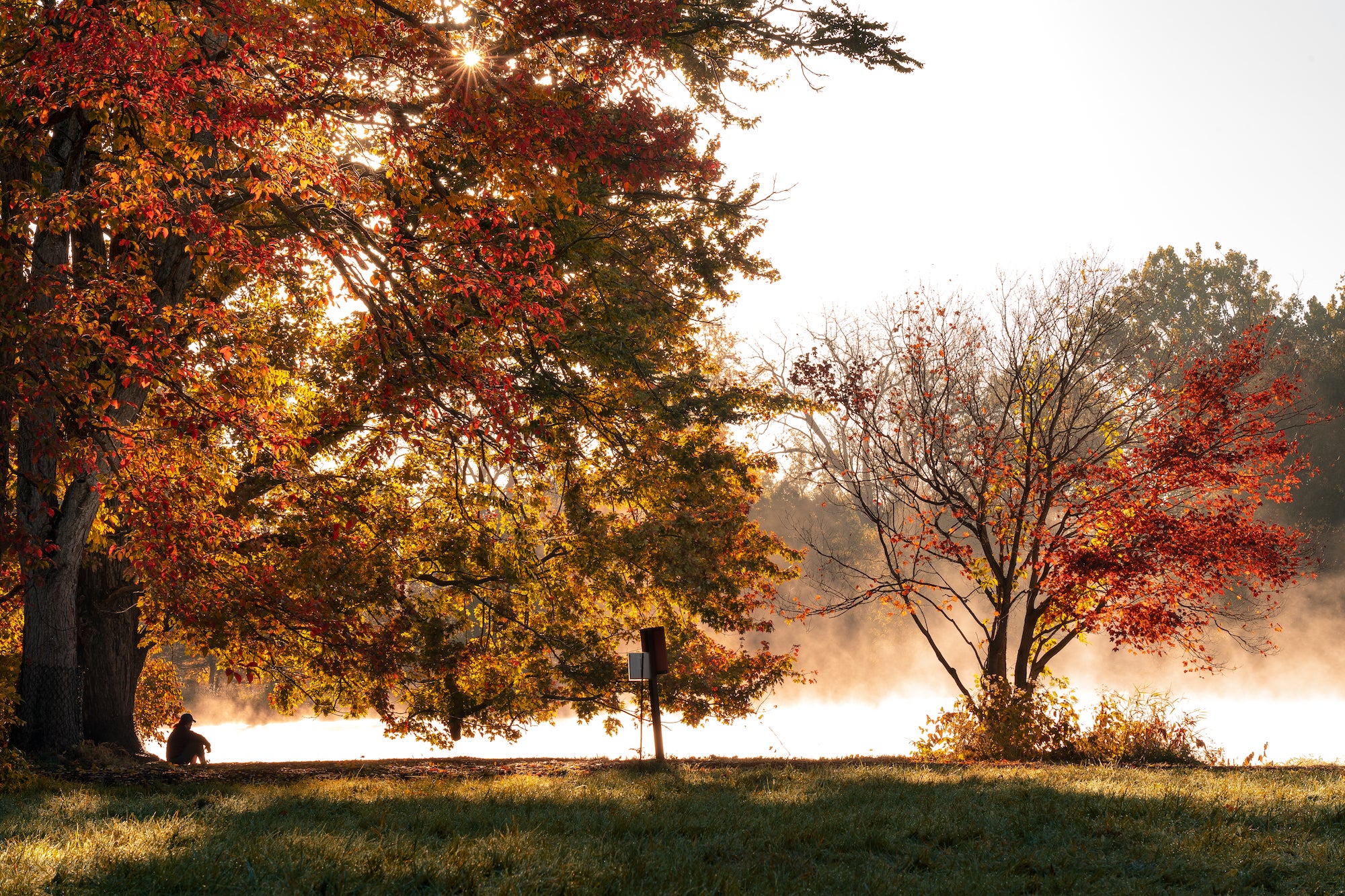 Alpha-Universe-WIMB-Frank-Grubich-Fall-Colors-5.jpg Alpha-Universe-WIMB-Frank-Grubich-Fall-Colors-5.jpg
