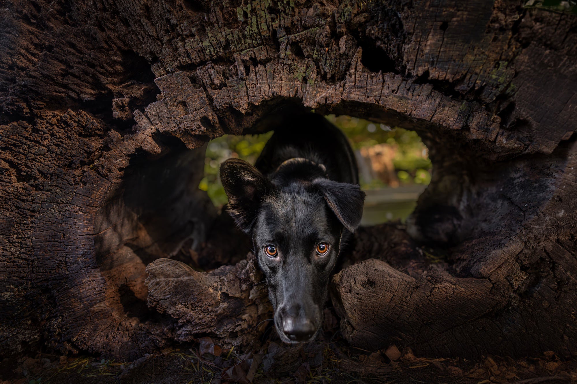 Photo by Garrette Baird. Sony Alpha 1. Sony 24mm f/1.4 G Master. 1/800-sec., f/2, ISO 1000