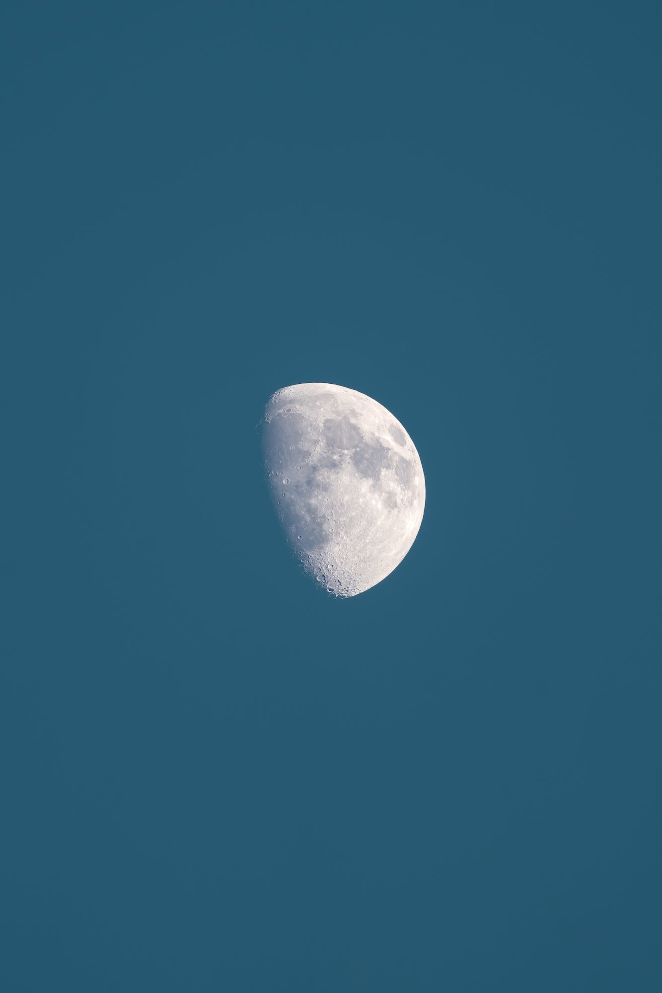 Photo by Jenna-Marie Mancini. Sony Alpha 7 IV. Sony 200&ndash;600mm f/5.6&ndash;6.3 G. 1/100-sec., f/7.1, ISO 100
