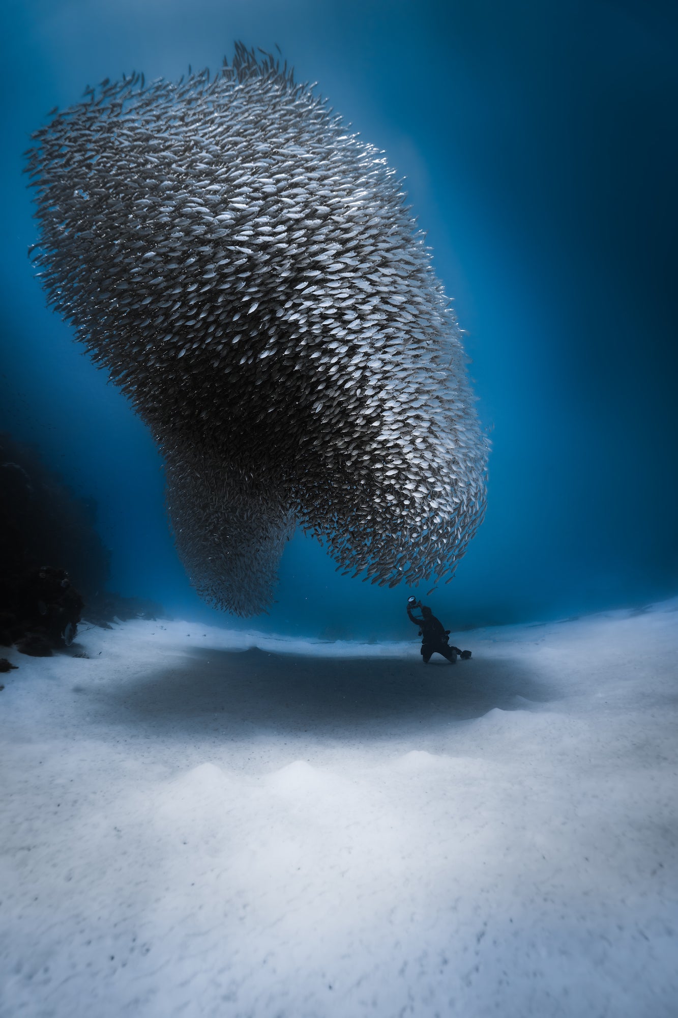 Photo by Katjana Cabenda. Sony Alpha 7R V.
