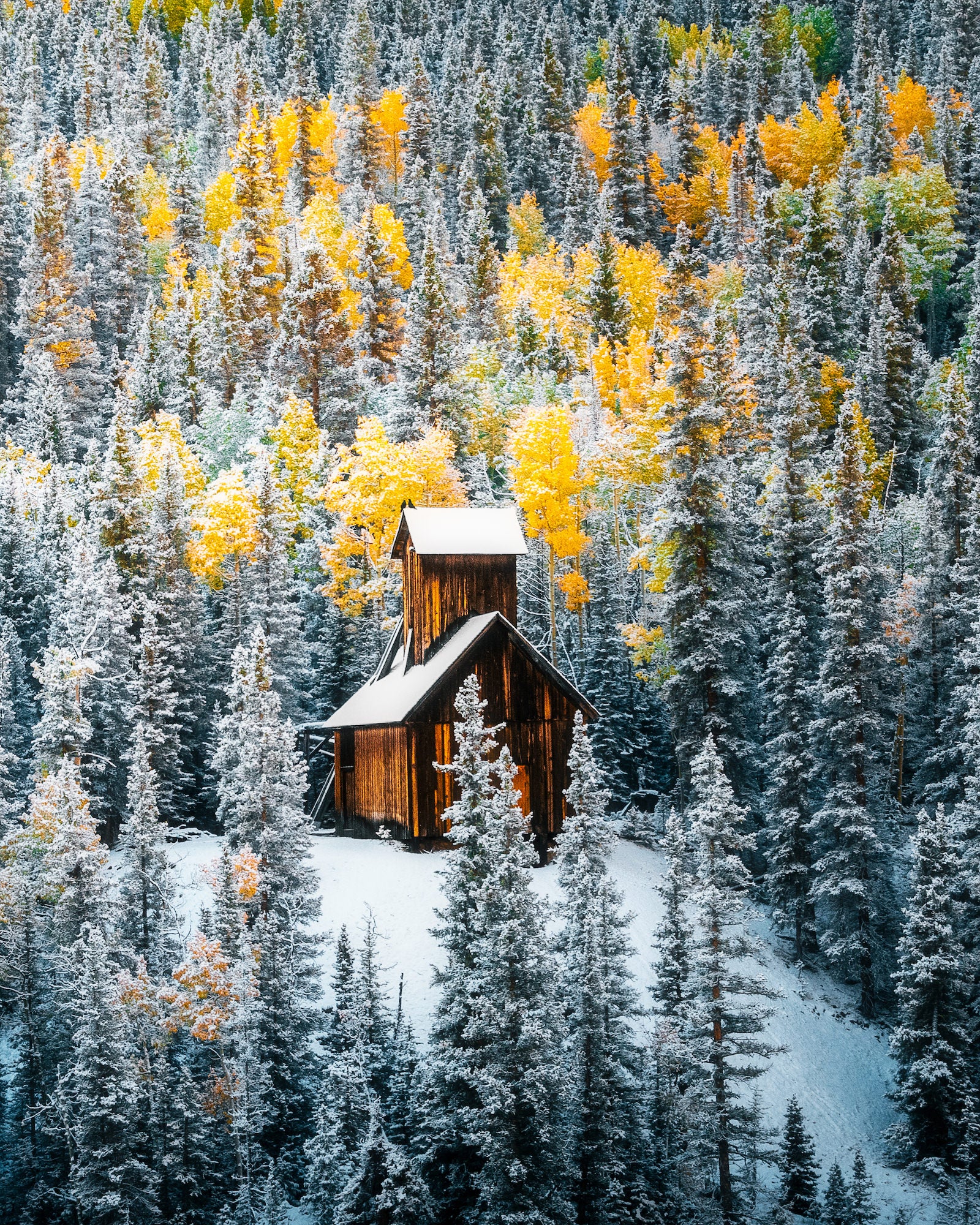 Photo by Larry Ginyard. Sony Alpha 7 IV. Sony 70-200mm f/2.8 G Master II. 1/1000-sec., f/11, ISO 640