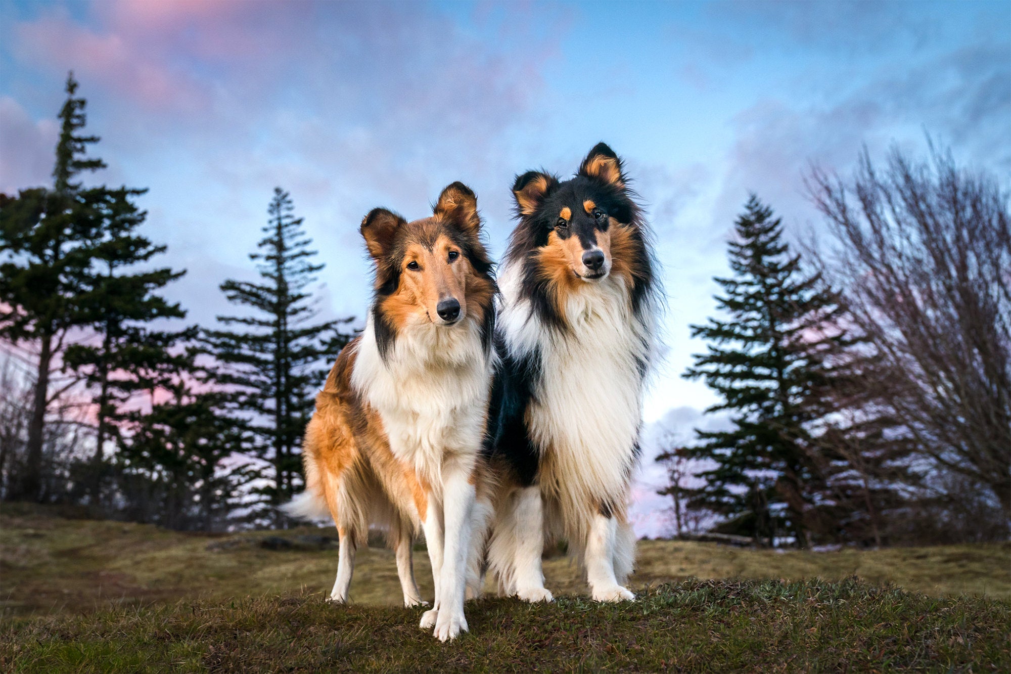 Photo by Lindsay Baca. Sony Alpha 9 II. Sony 24-70mm f/2.8 G Master. 1/250-sec., f/4.5, ISO 2000 Photo by Lindsay Baca. Sony Alpha 9 II. Sony 24-70mm f/2.8 G Master. 1/250-sec., f/4.5, ISO 2000