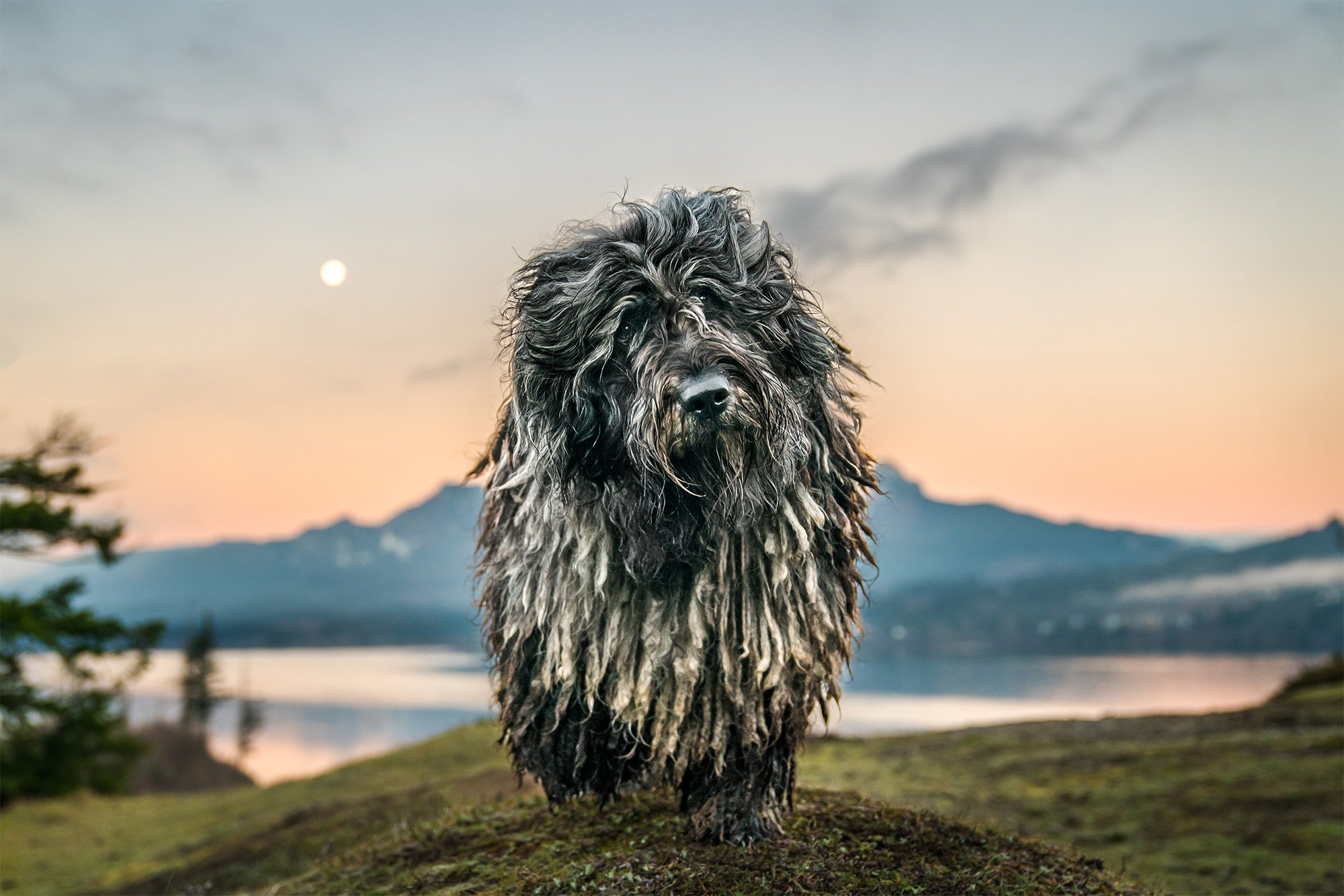 Photo by Lindsay Baca. Sony Alpha 9 II. Sony 24-70mm f/2.8 G Master. 1/320-sec., f/2.8, ISO 640 Photo by Lindsay Baca. Sony Alpha 9 II. Sony 24-70mm f/2.8 G Master. 1/320-sec., f/2.8, ISO 640