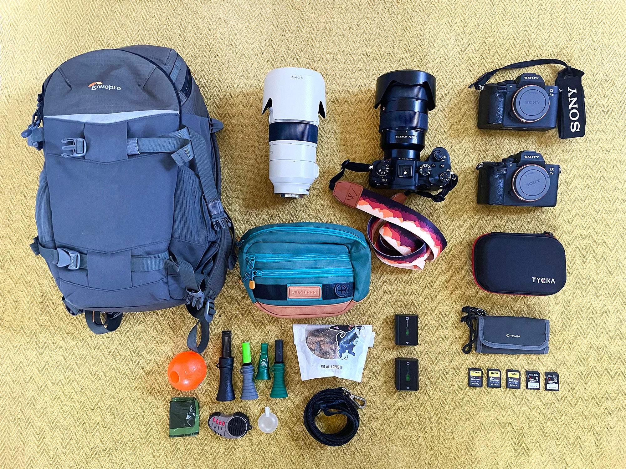 Lindsay Baca's kit for dog photography Lindsay Baca's kit for dog photography