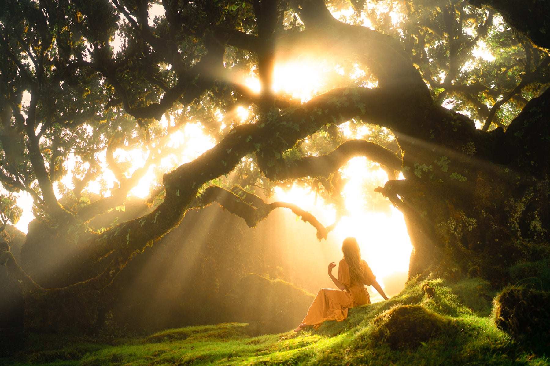 jpg/Alpha-Universe-WIMB-Lizzy-Gadd-17-1200_bounds5viqth.jpg?height=1200&fit=bounds