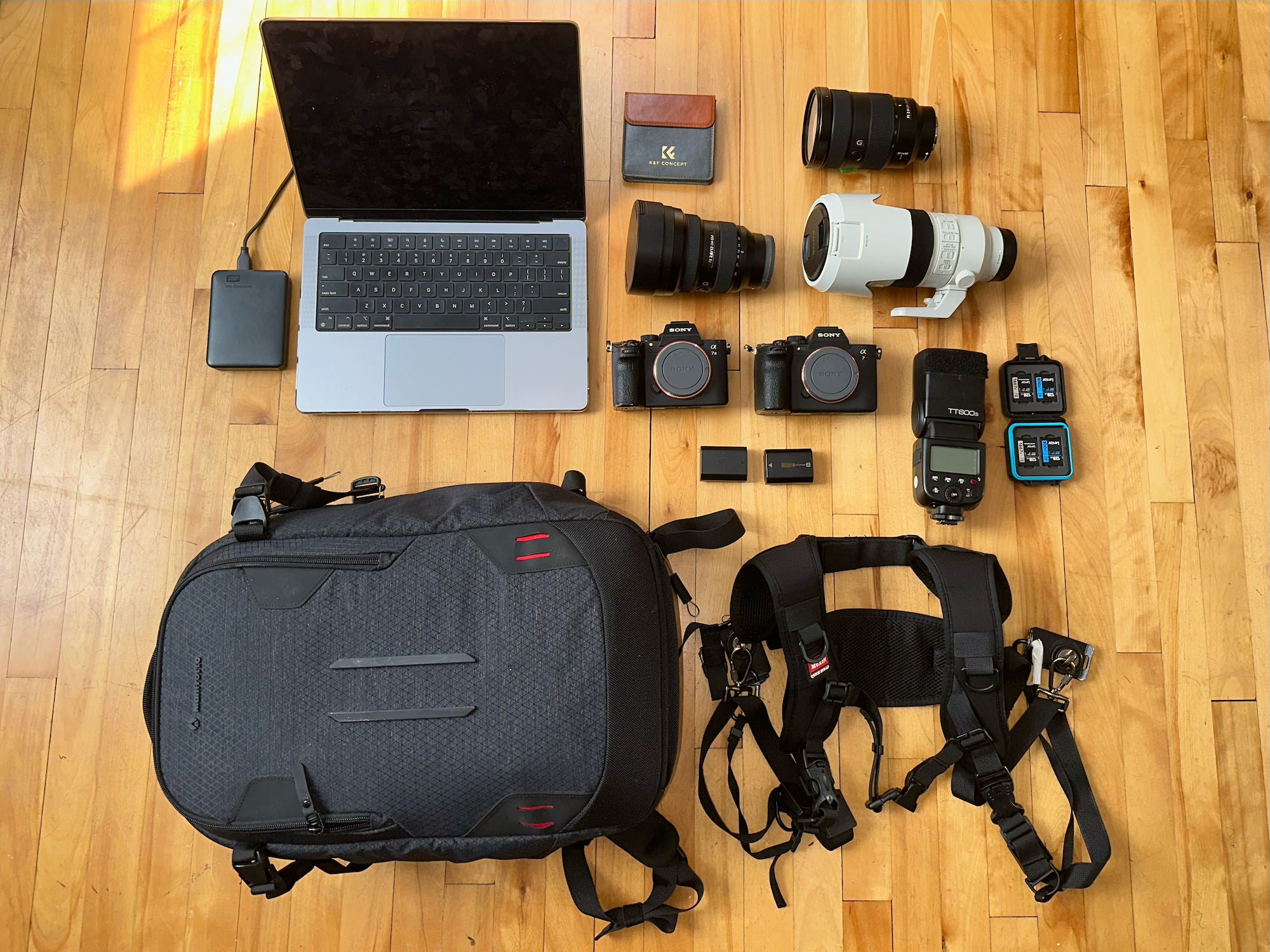 Marjorie Halle's concert photography kit