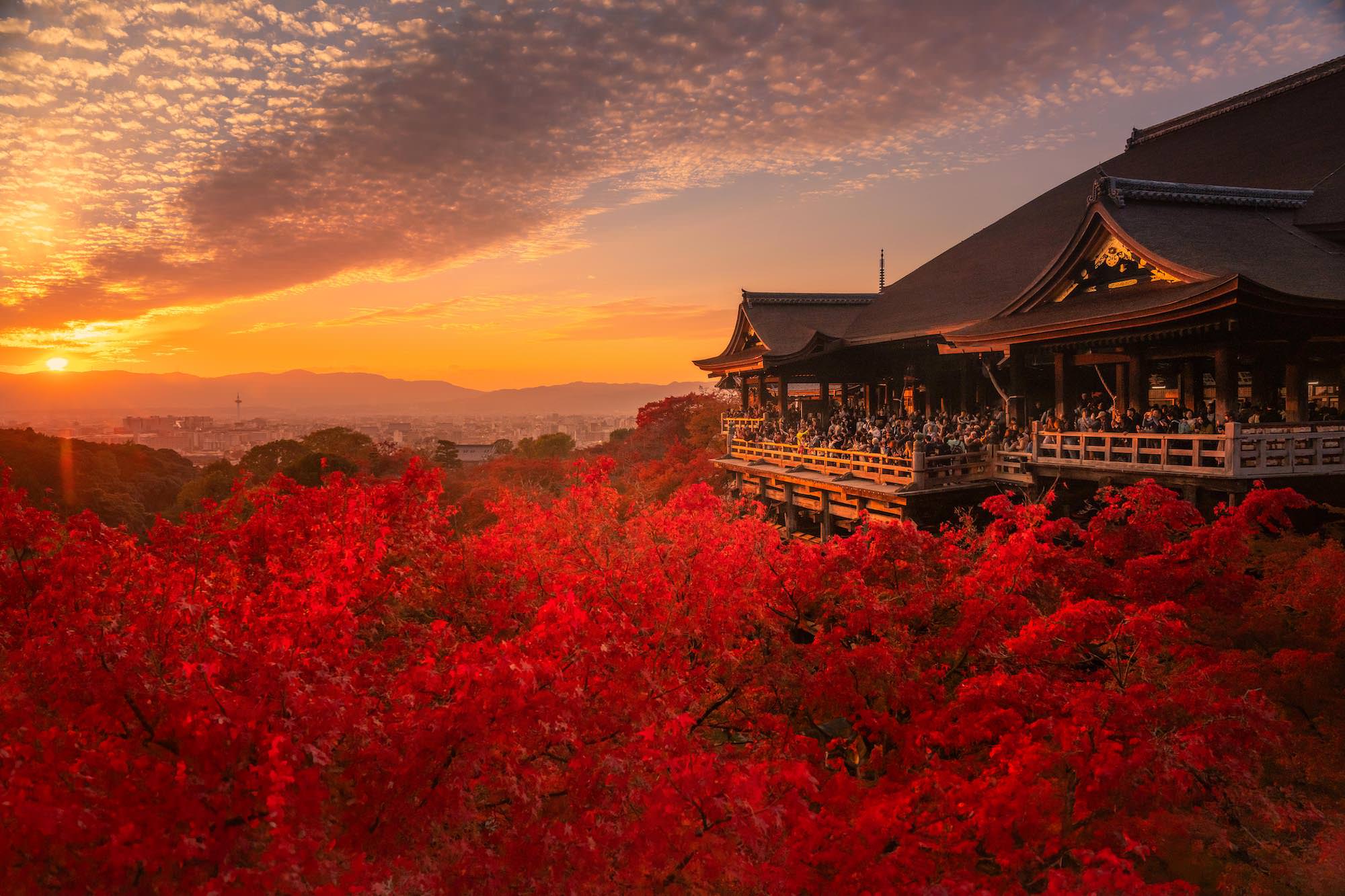 Photo by Nelson Thaksakorn. Sony Alpha 7R V. Sony 24-70mm f/2.8 G Master II. 1/125-secs., f/7.1, ISO 800