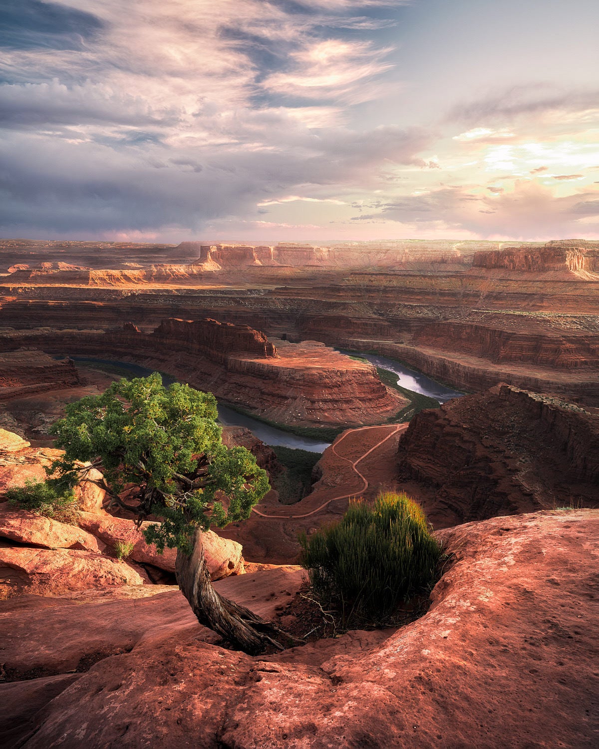 Photo by Shane Ware. Sony Alpha 7R IV. Photo by Shane Ware. Sony Alpha 7R IV.