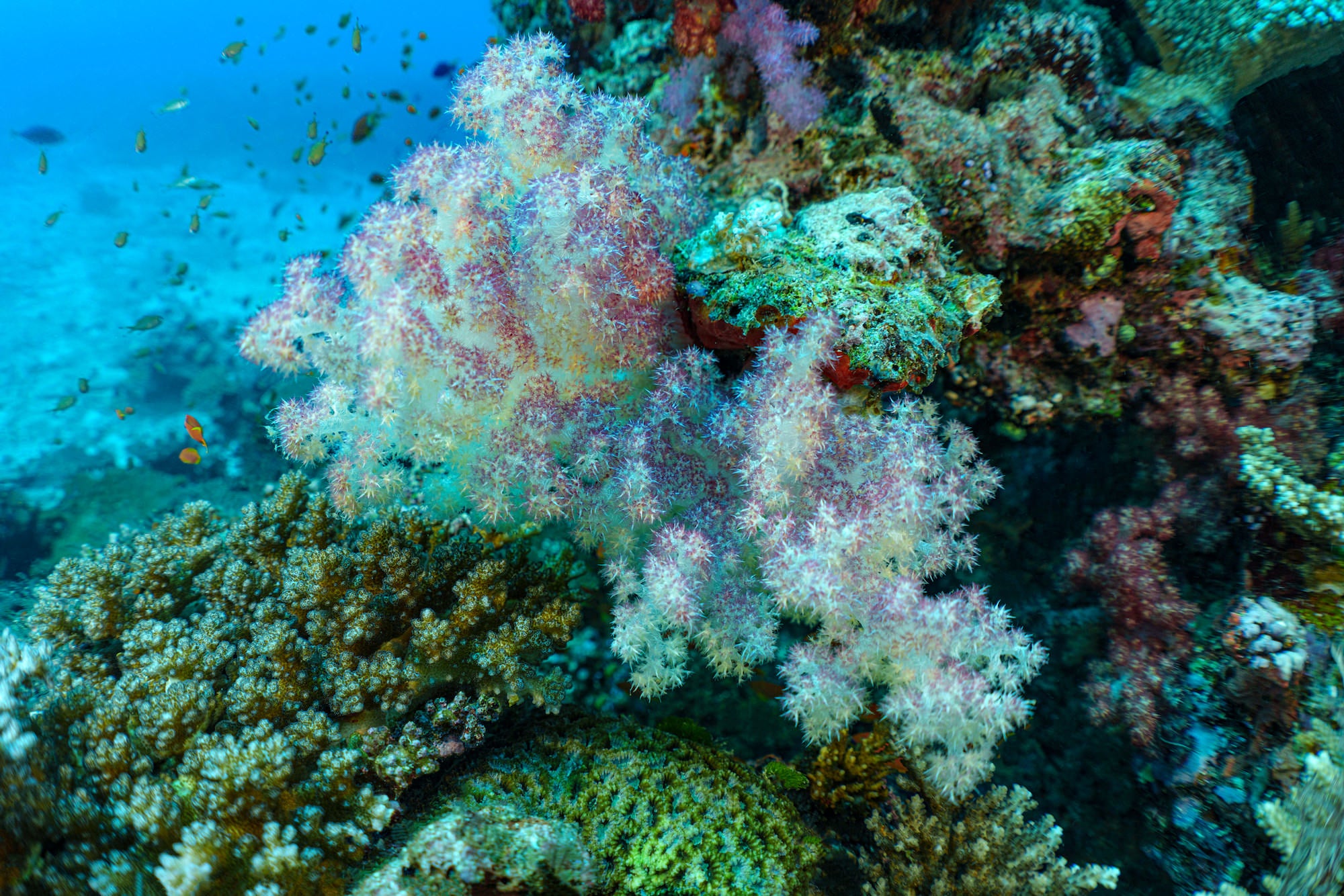 Photo by Stan Moniz. Sony Alpha 7CR. Sony 28mm f/2. 1/250-sec., f/4, ISO 400