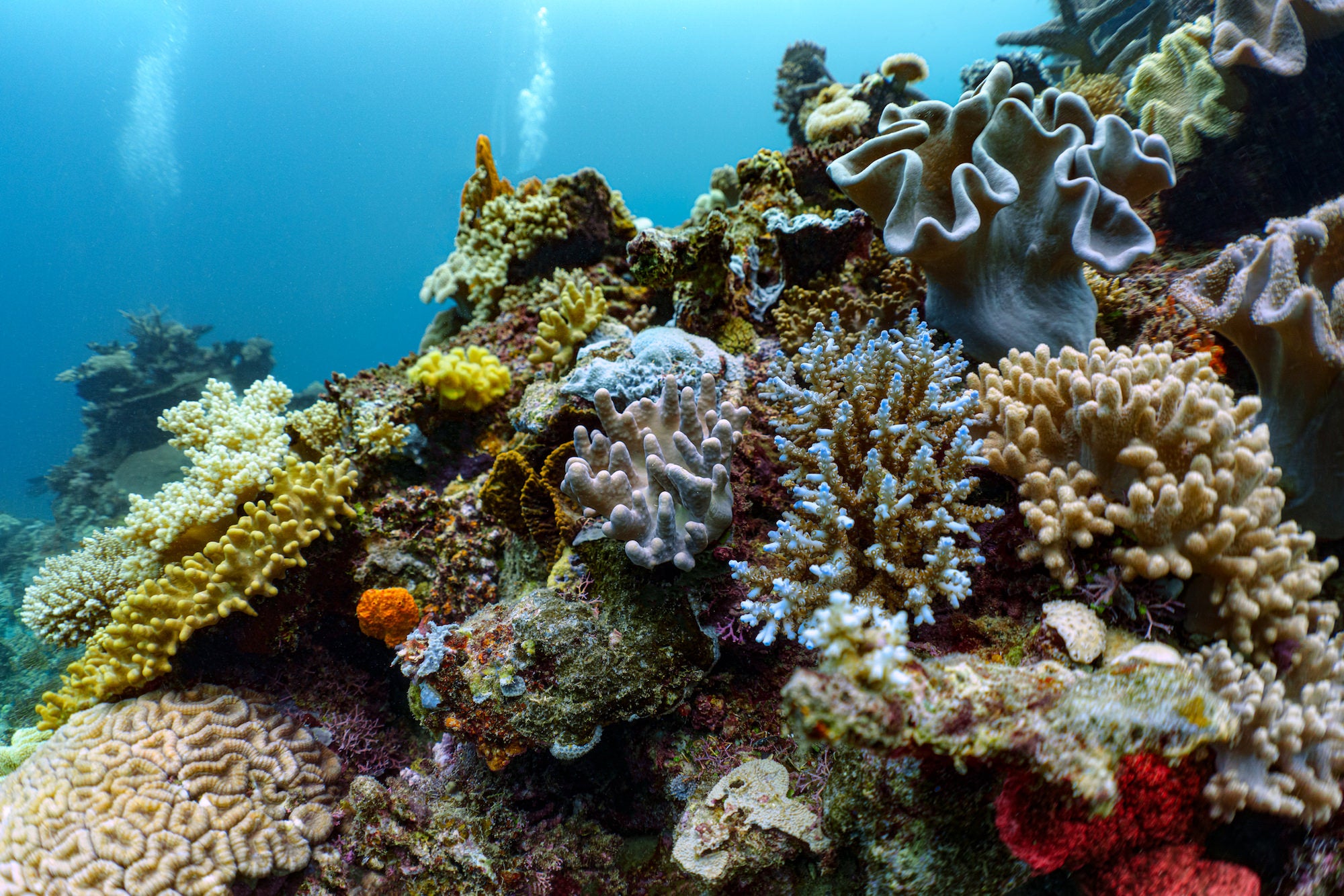 Photo by Stan Moniz. Sony Alpha 7CR. Sony 28mm f/2. 1/250-sec., f/4, ISO 400