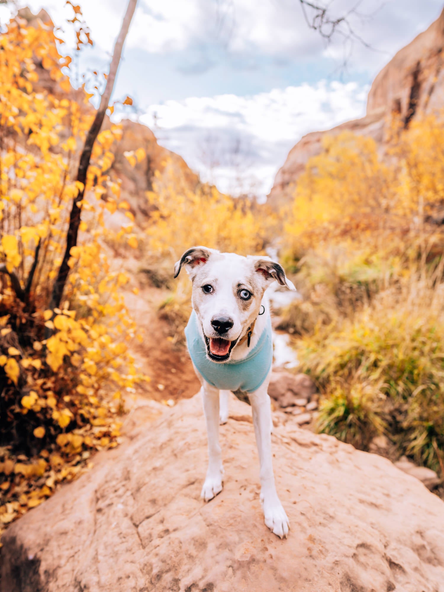 Photo by Susan Brudd. Sony Alpha 7R IV. Sony 24mm f/1.4 G Master. 1/320-sec., f/2.8, ISO 125 Photo by Susan Brudd. Sony Alpha 7R IV. Sony 24mm f/1.4 G Master. 1/320-sec., f/2.8, ISO 125