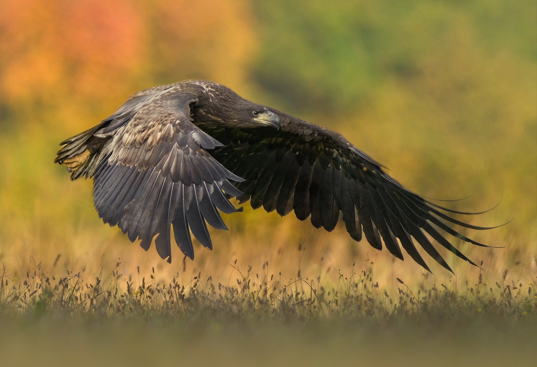 jpg/Alpha-Universe-WIMB-WojciechSobiesiak-SonyPhoto6-1200_boundse0alvj.jpg?height=1200&fit=bounds