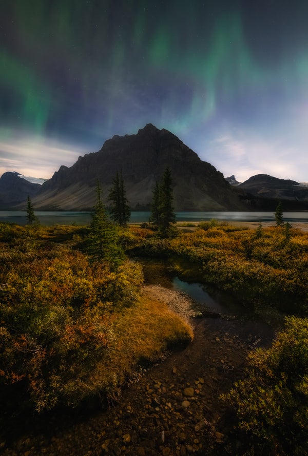 Story Header Image