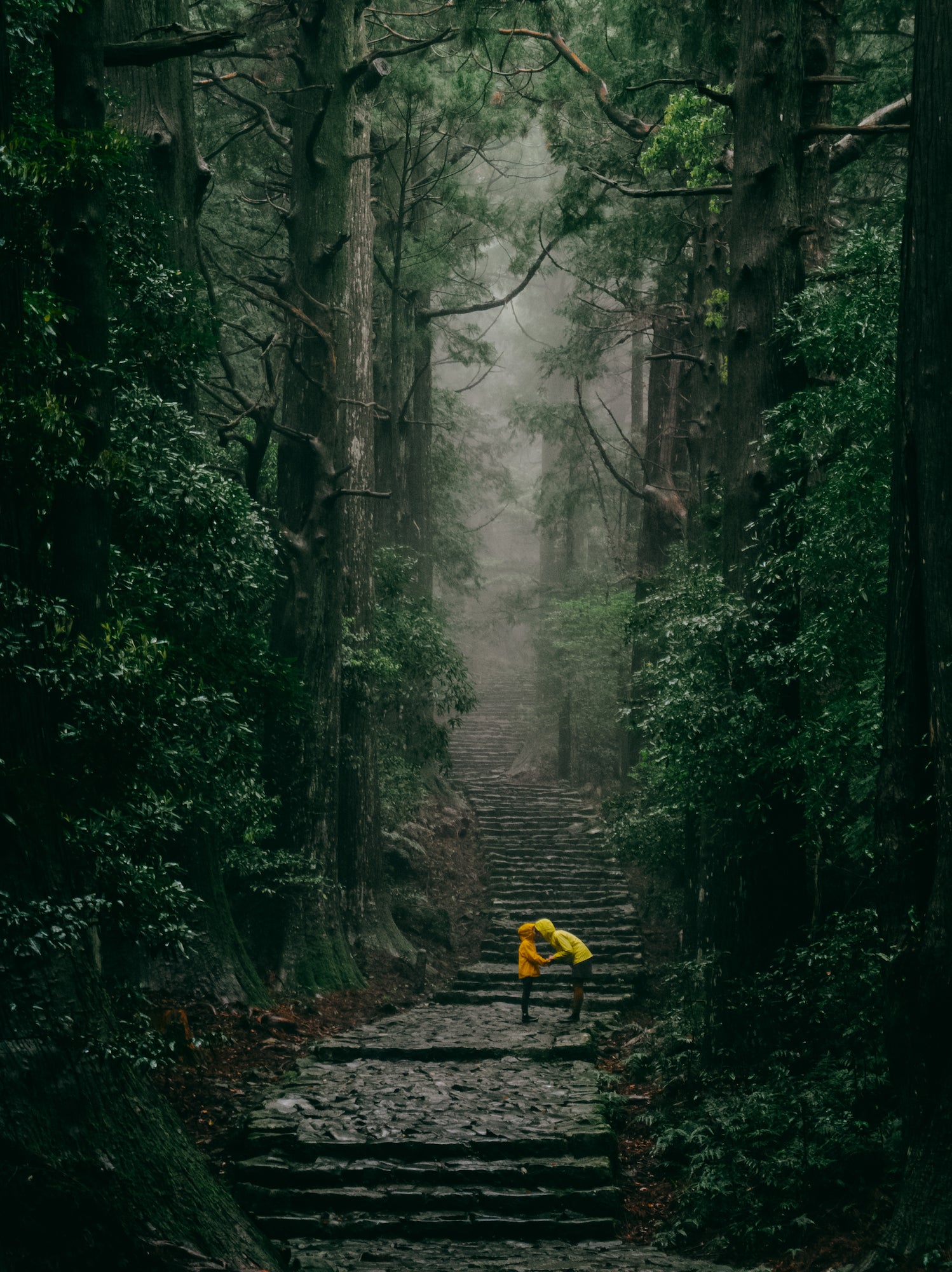 Alpha-Universe-Xperia-1-III-Ippei-Janine-2.jpg Alpha-Universe-Xperia-1-III-Ippei-Janine-2.jpg