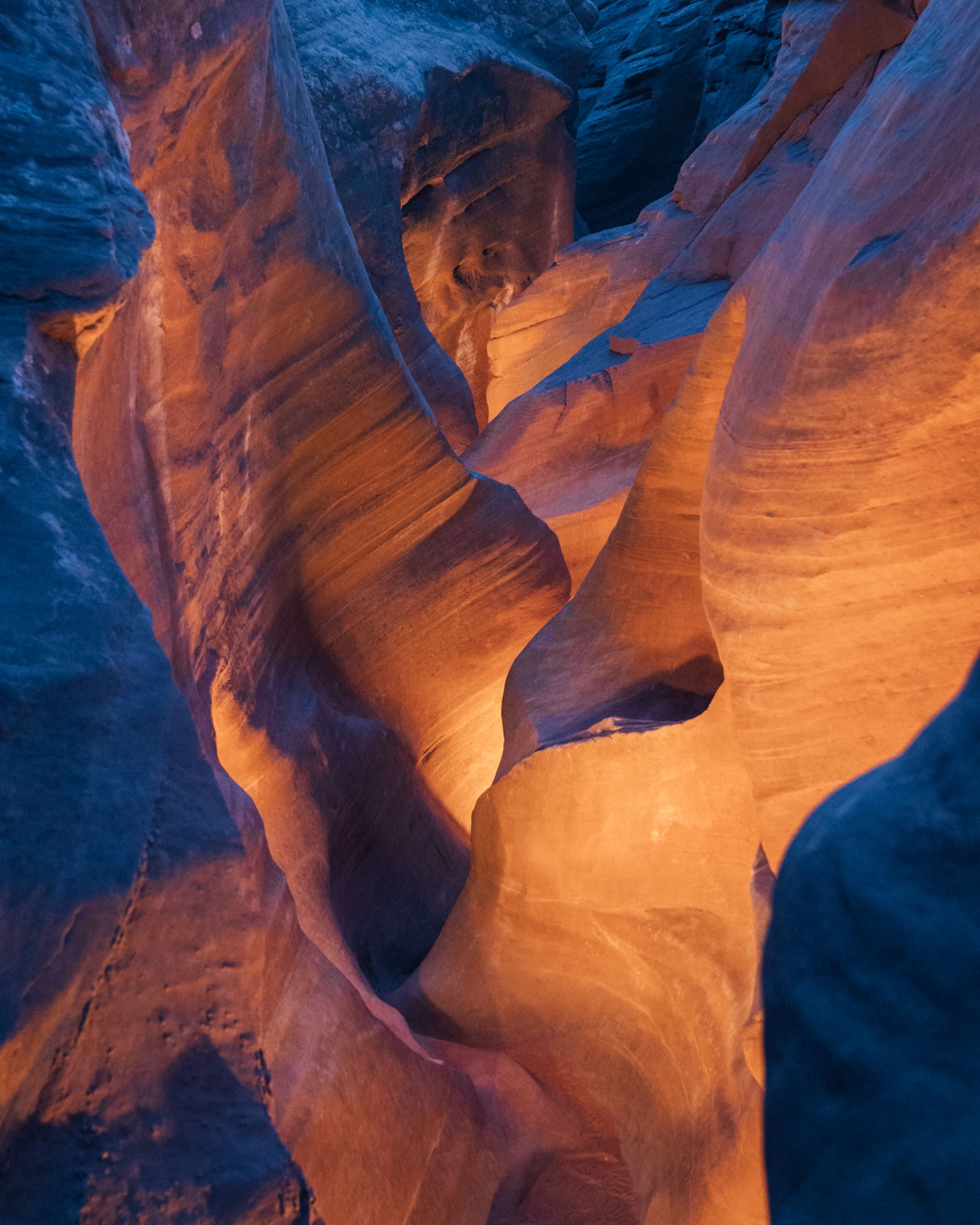Alpha-Universe-photo-by-Erin-Sullivan-erinoutdoors-and-Scott-Kranz-scott-kranz-EO-SK-LightPainting4x5-8.jpg Alpha-Universe-photo-by-Erin-Sullivan-erinoutdoors-and-Scott-Kranz-scott-kranz-EO-SK-LightPainting4x5-8.jpg
