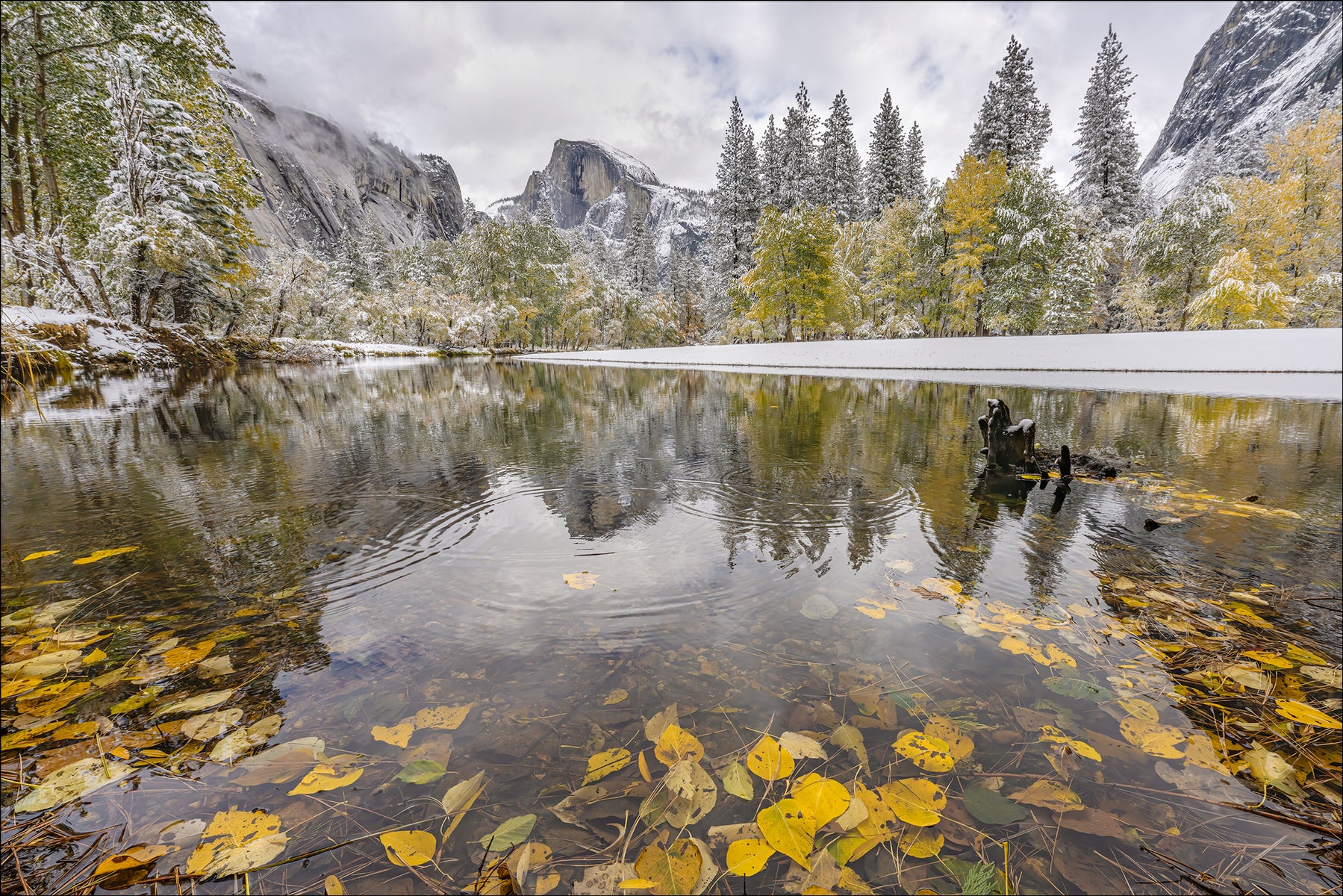 jpg/Alpha-Universe-photo-by-Gary-Hart-a7RIV-2YNPAutumnSnow2020_7R41082HalfDomeReflection_Sony-1200_boundsdlpp4u.jpg?height=1200&fit=bounds