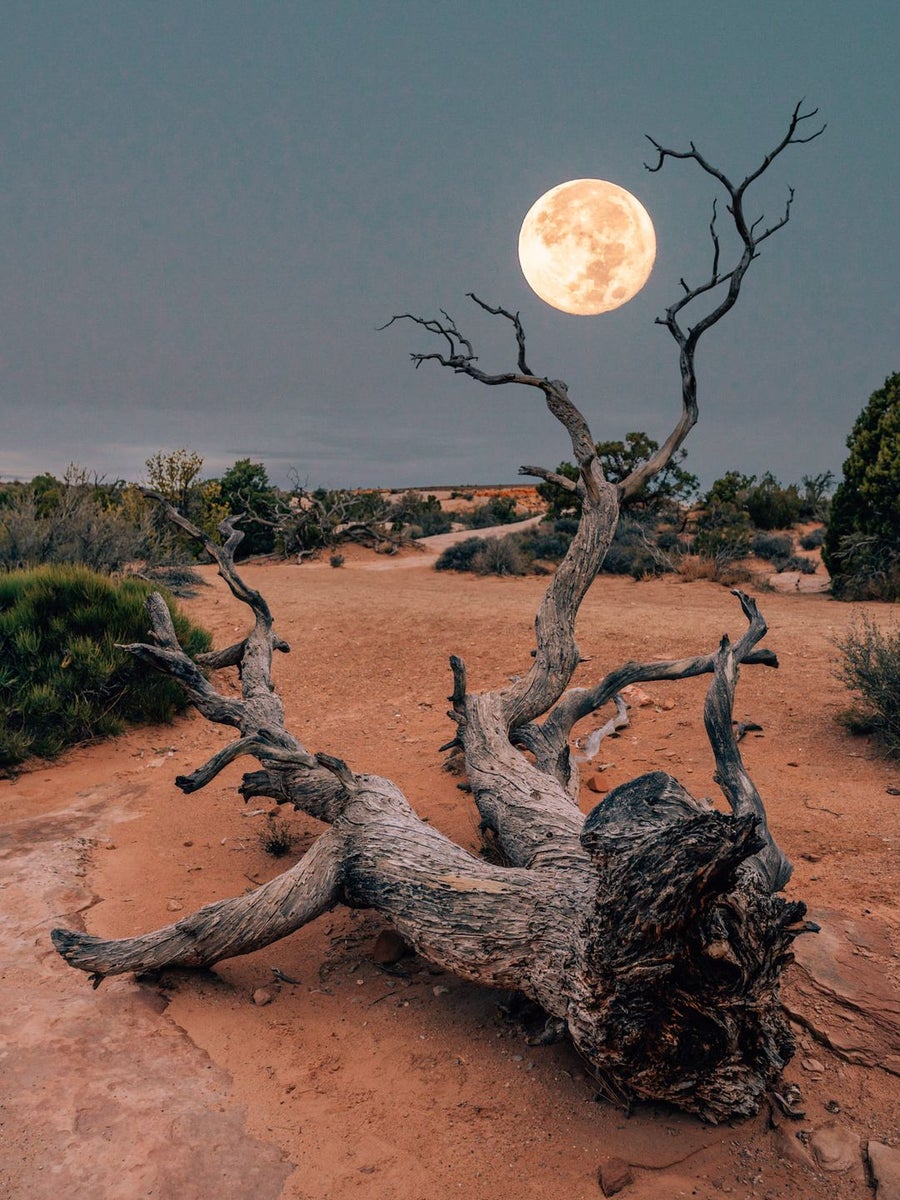 jpg/Week-29-Lunar-Landscapes-Susan-Brudd.r1glbbKVp1l-1200_boundsczhbux.jpg?height=1200&fit=bounds