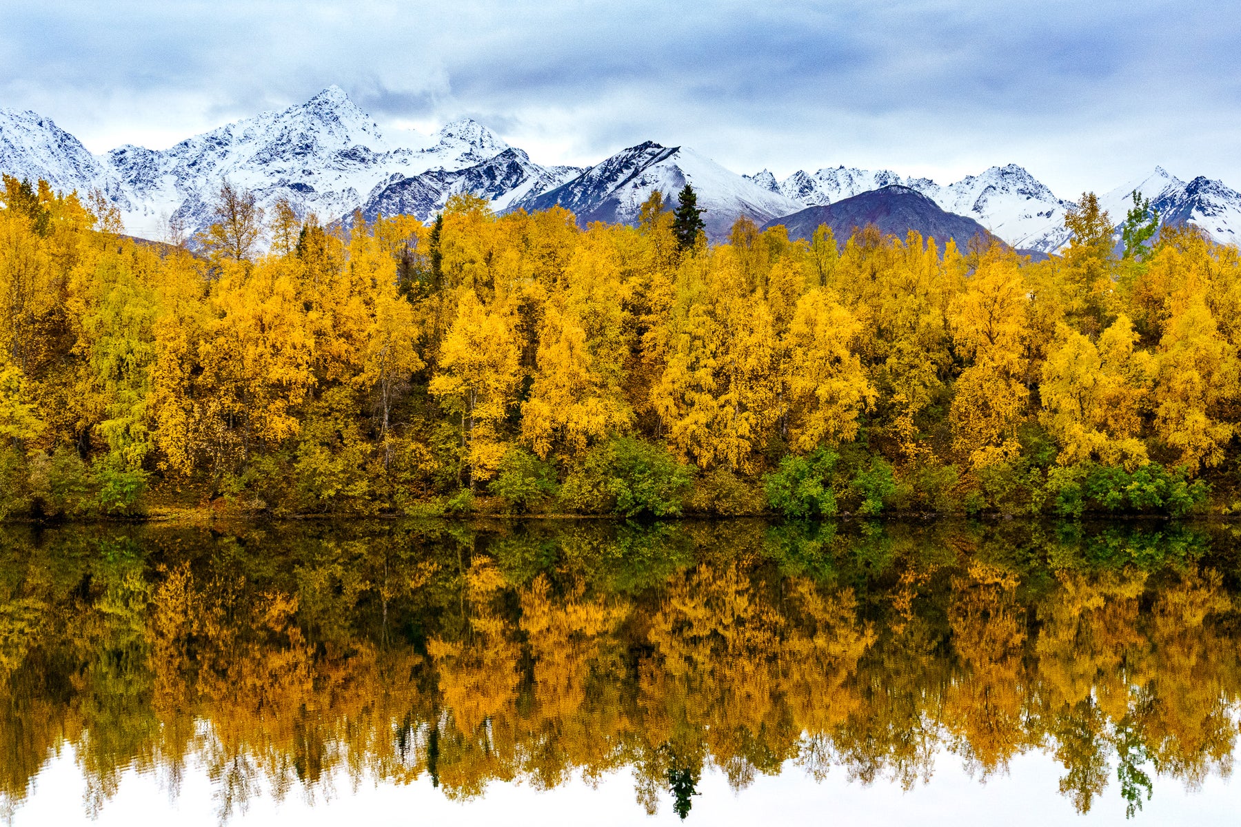 jpg/Week-33-Autumn-Colors-Jaime-Hammond.SJ5Z-K46Jg-1200_bounds9rkwo2.jpg?height=1200&fit=bounds