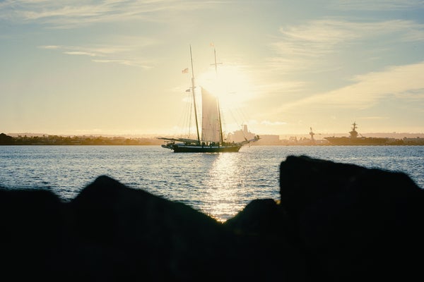 Story Header Image