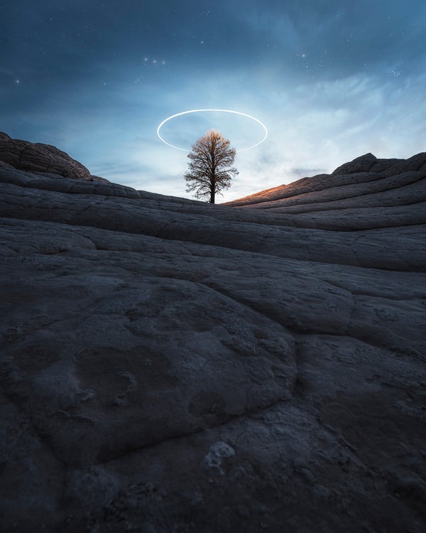 Story Header Image
